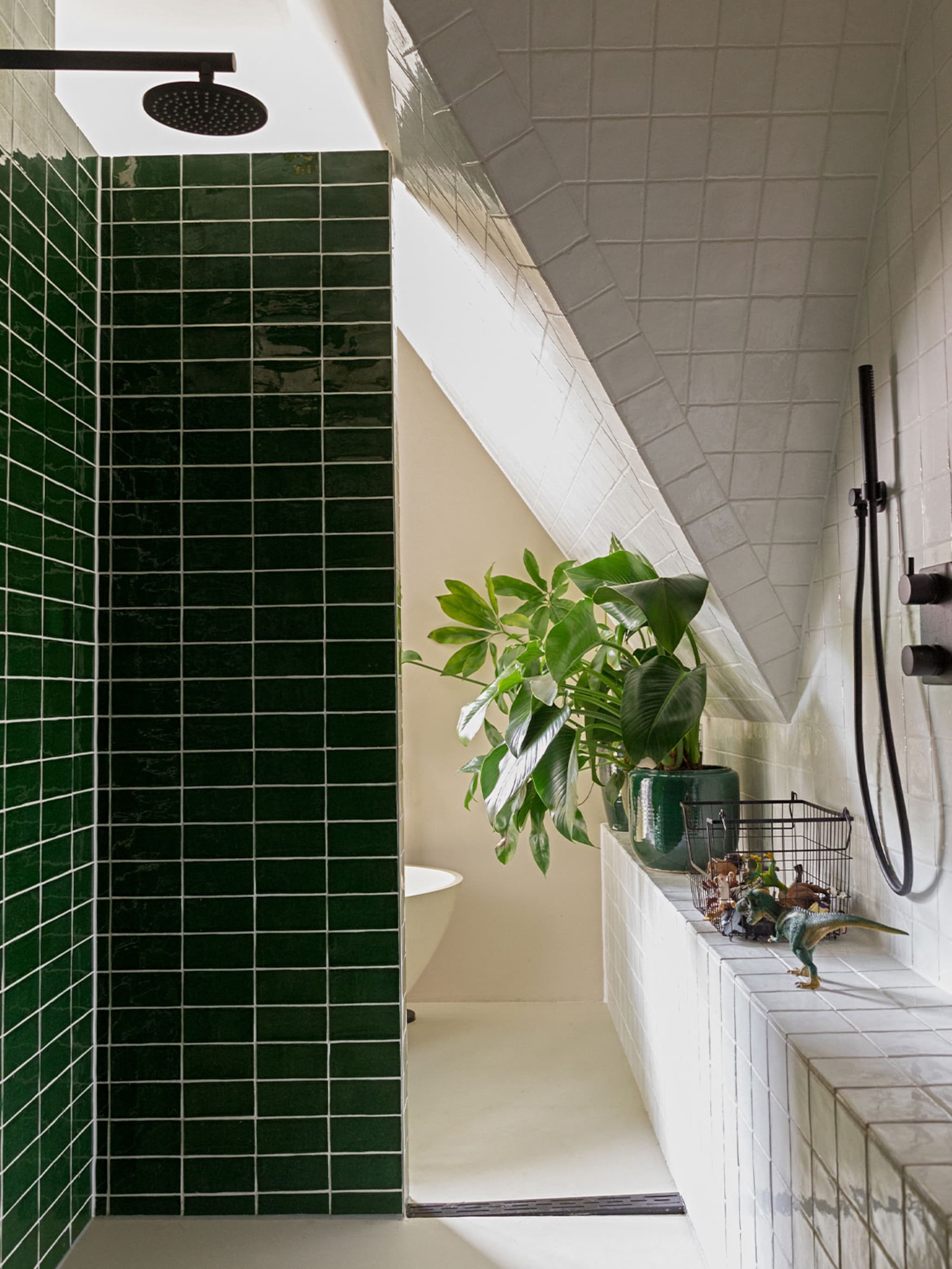 deze planten zijn perfect voor in een vochtige badkamer