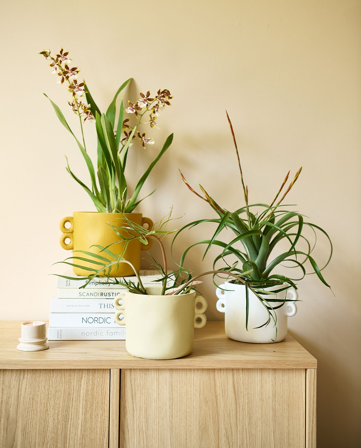 beeld vtwonen vtwonen pot &amp; plant collectie augustus 2022 | Fotografie Sjoerd Eickmans