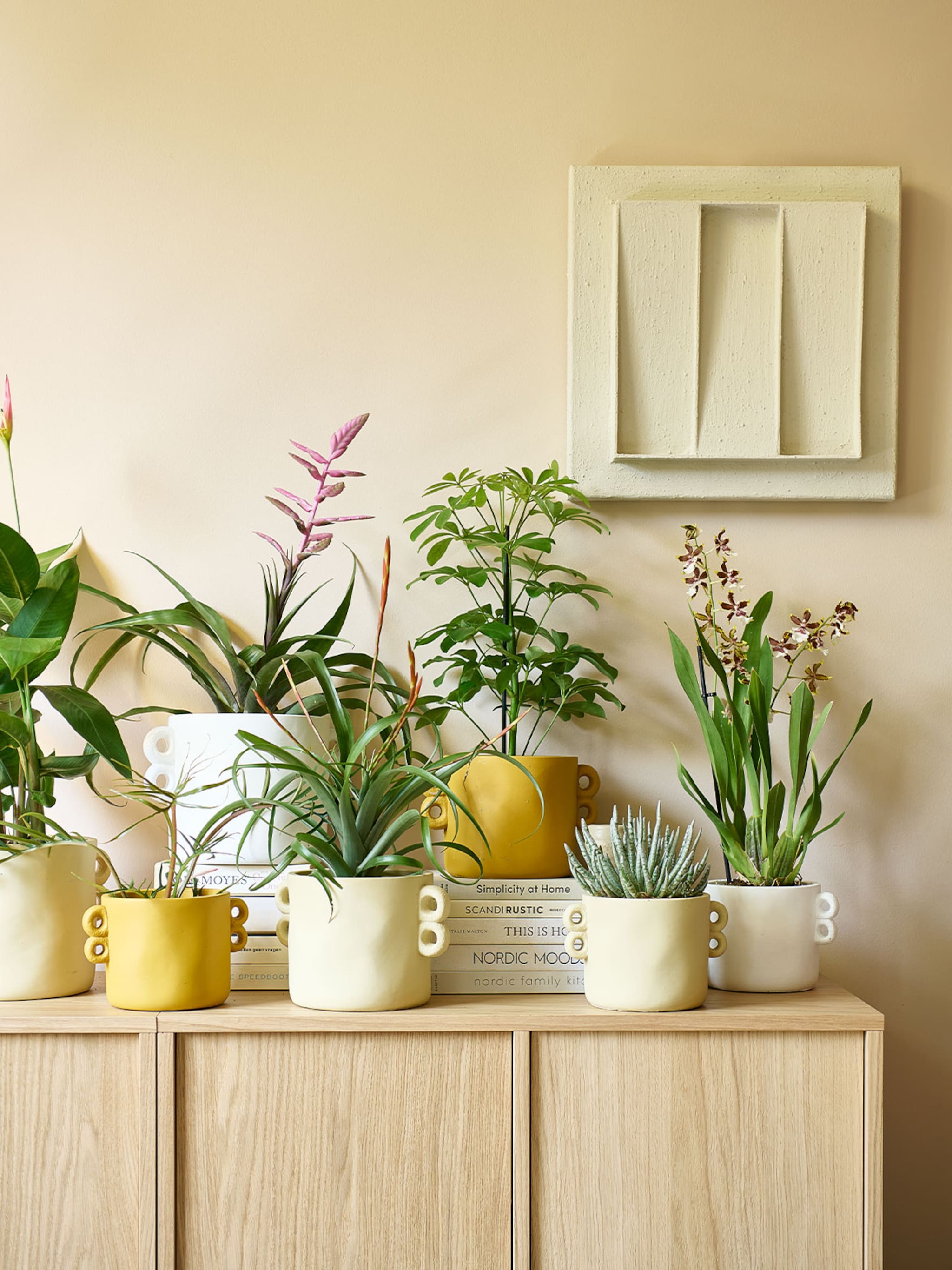 op naar het tuincentrum de nieuwe vtwonen pot en plant collectie is nu te koop