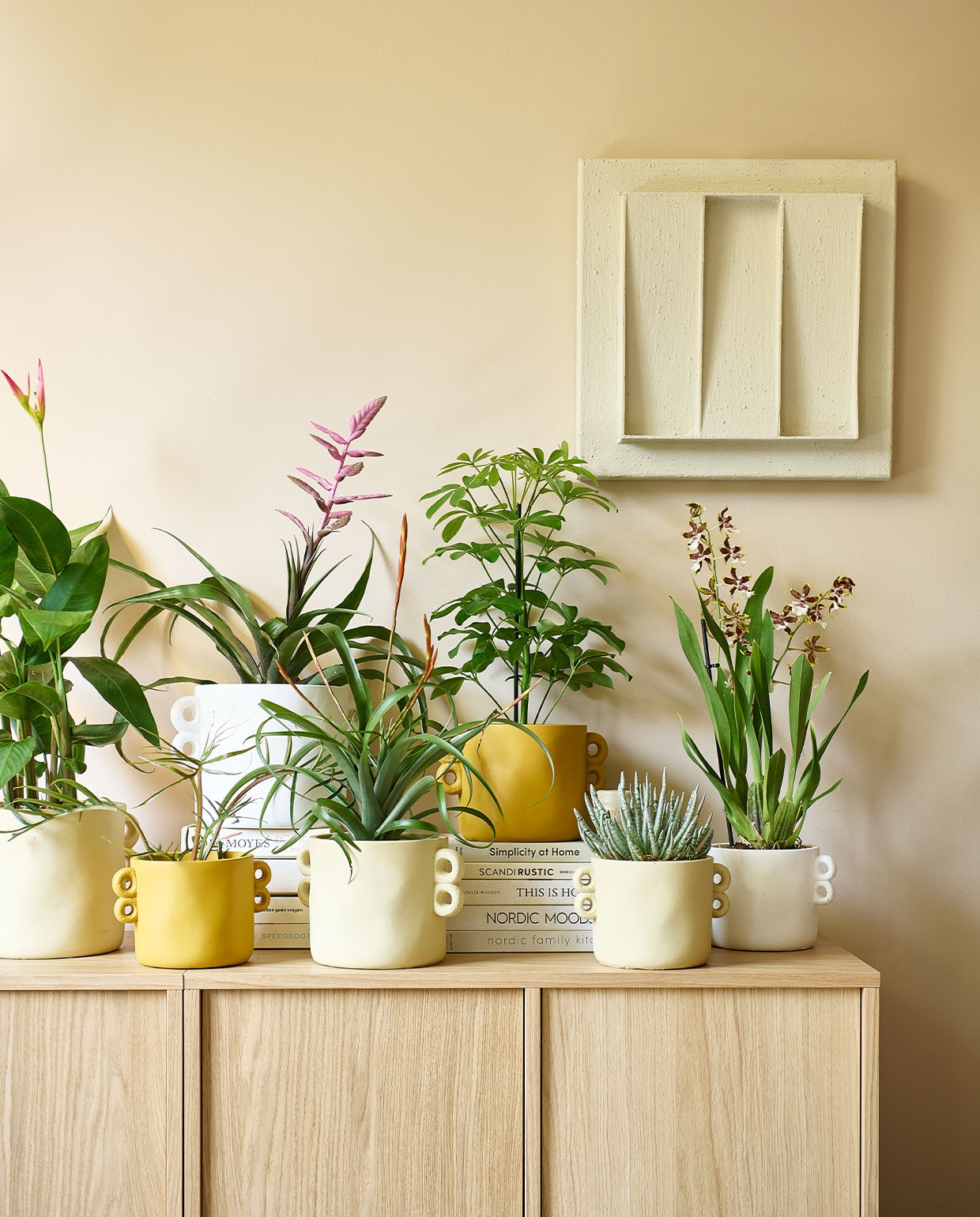 beeld vtwonen vtwonen pot &amp; plant collectie augustus 2022 | fotografie Sjoerd Eickmans