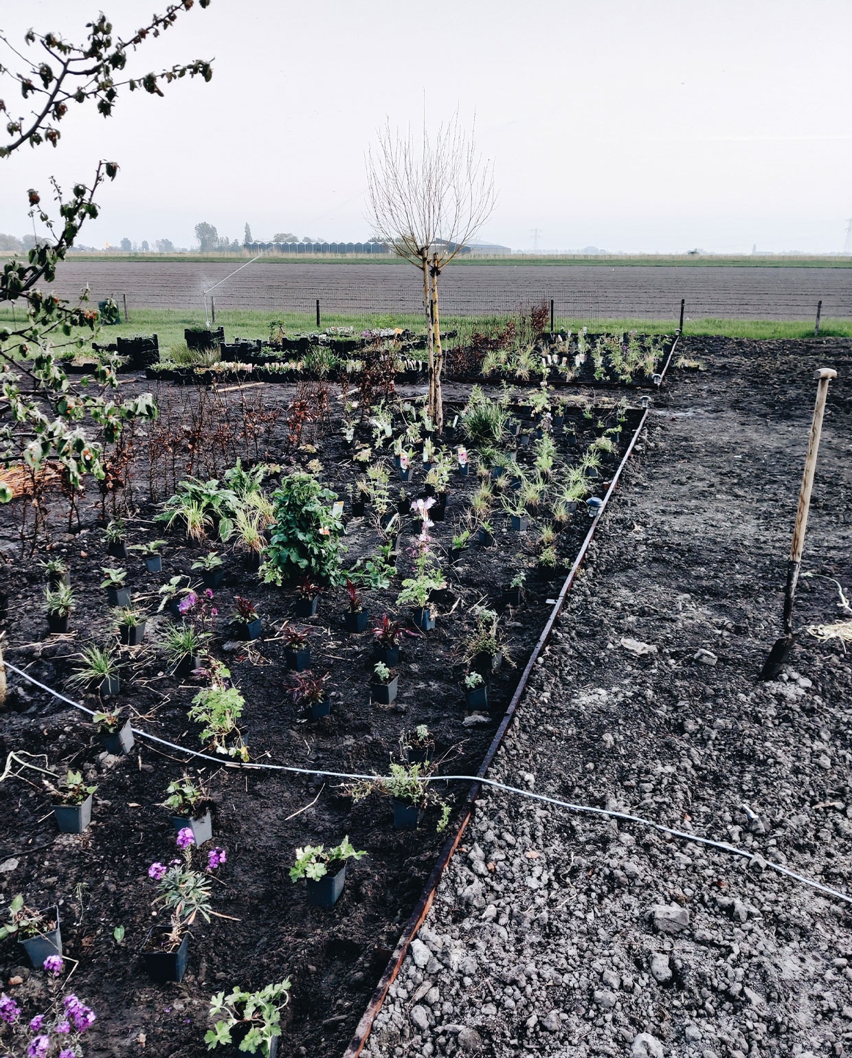 beeld vtwonen Blog Vivian en Mark
