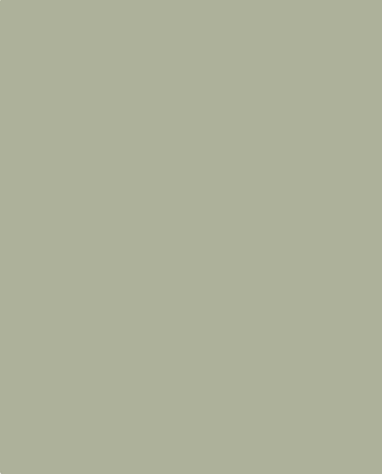 Olive spig kleur
