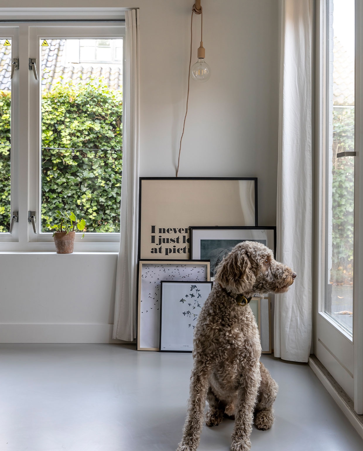 Oude gym-ring van Marktplaats met Muuto lamp, kunstwerk Andy Warhol Moderna Museet Stockholm, kunstwerk vogels My Dear Art Shop, overige lijsten Ikea. vtwonen 04-2022 | fotografie Henny van Belkom
