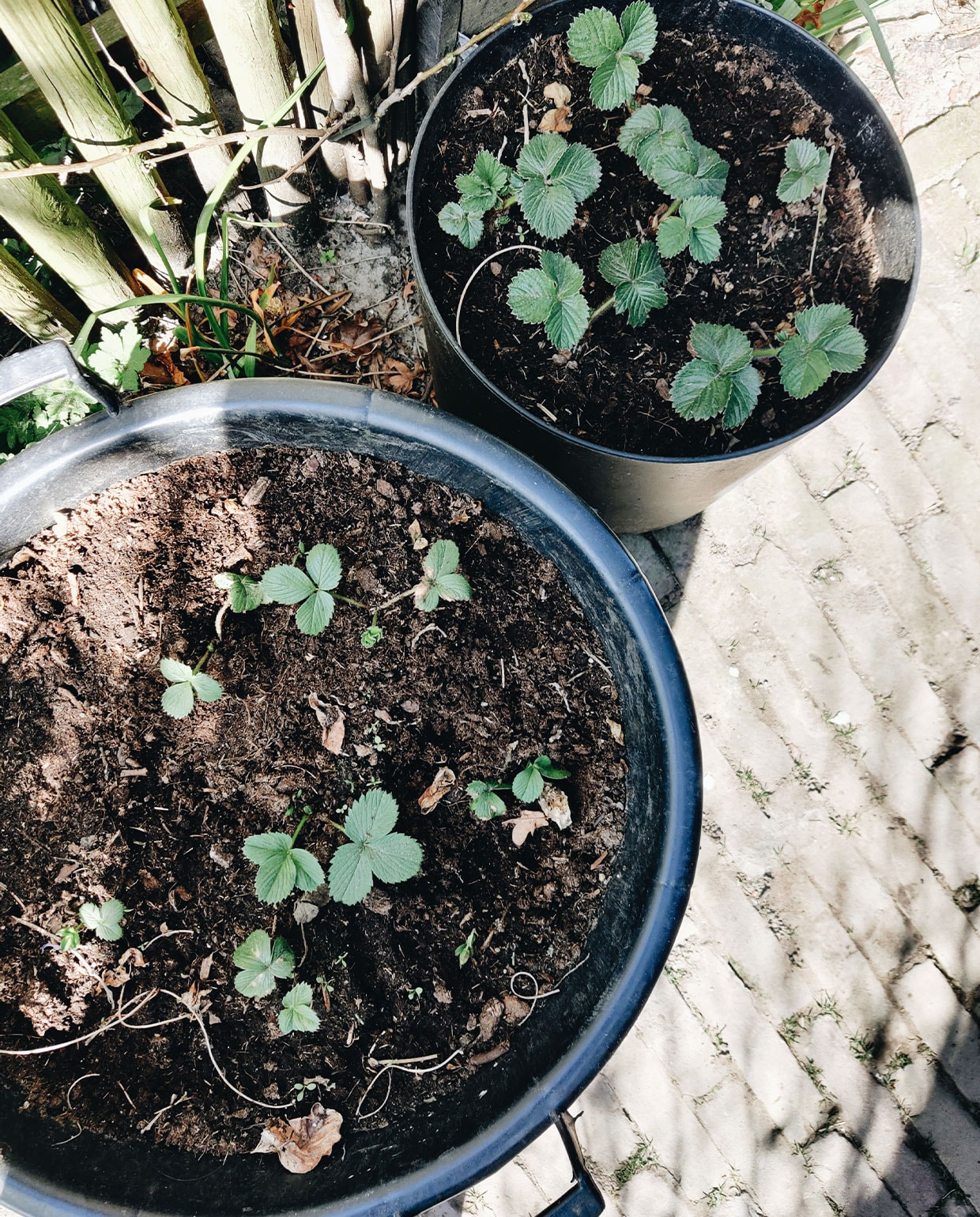 beeld vtwonen tuinblog vivian en mark