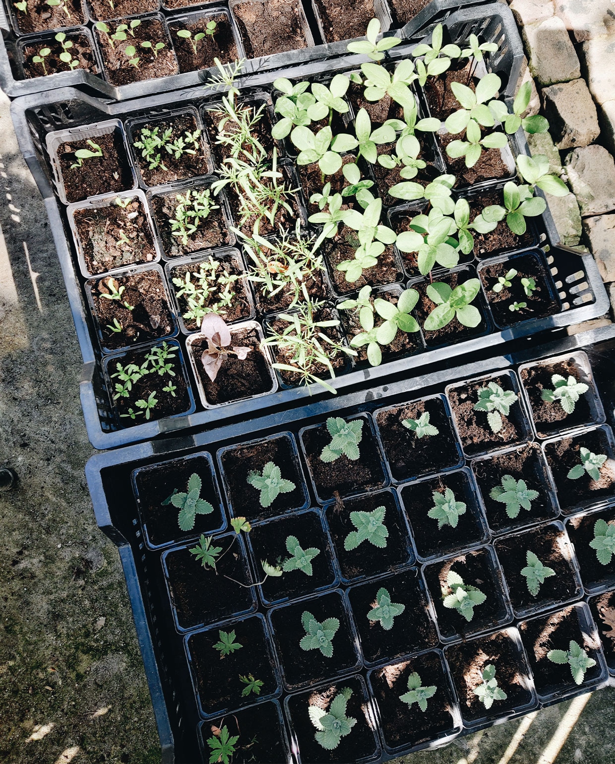 beeld vtwonen tuinblog vivian en mark