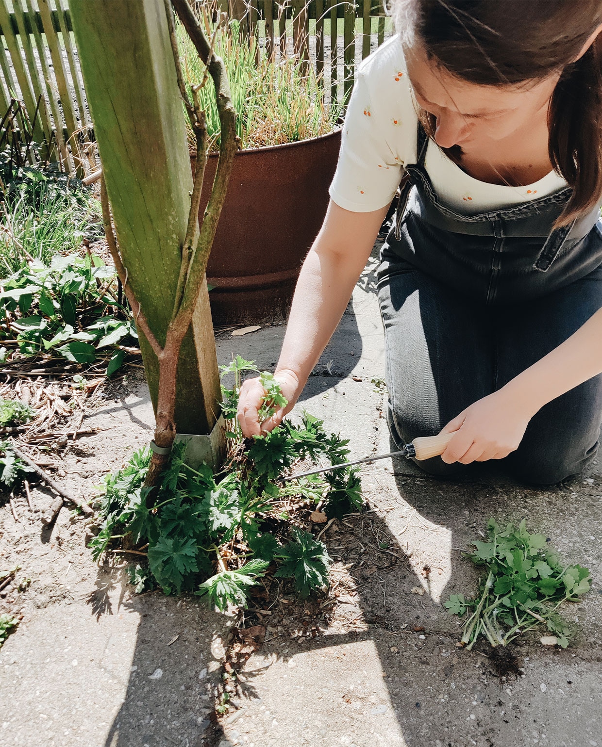 beeld vtwonen tuinblog vivian en mark