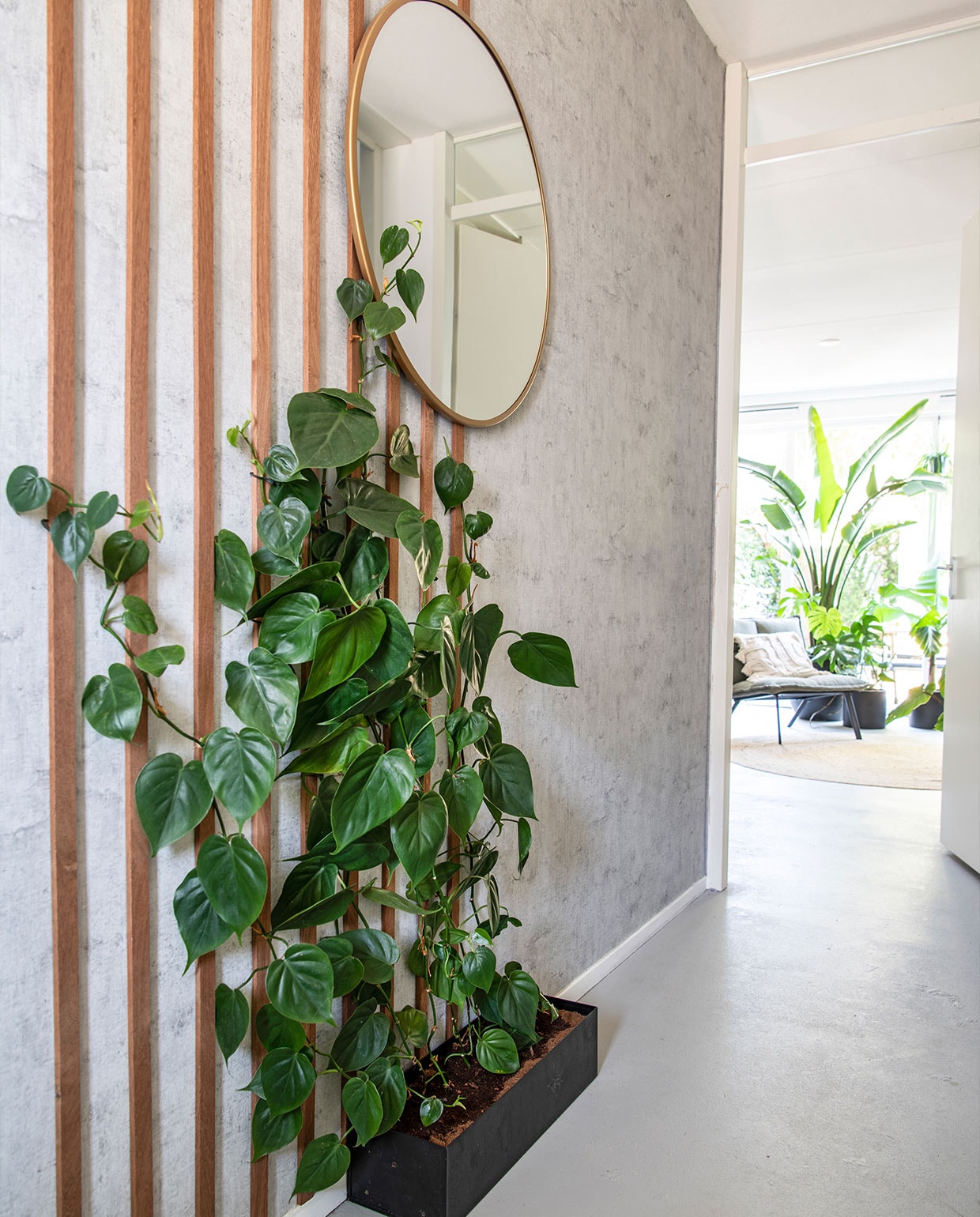 Plantenbak en spiegel, Xenos. Behang Kwantum. Plant: Philodendron Scandens.Latten op maat gemaakt bij Gamma. vtwonen 3-2022 | productie Insidehomepage | styling Esther Jostmeijer | fotografie Louis Lemaire