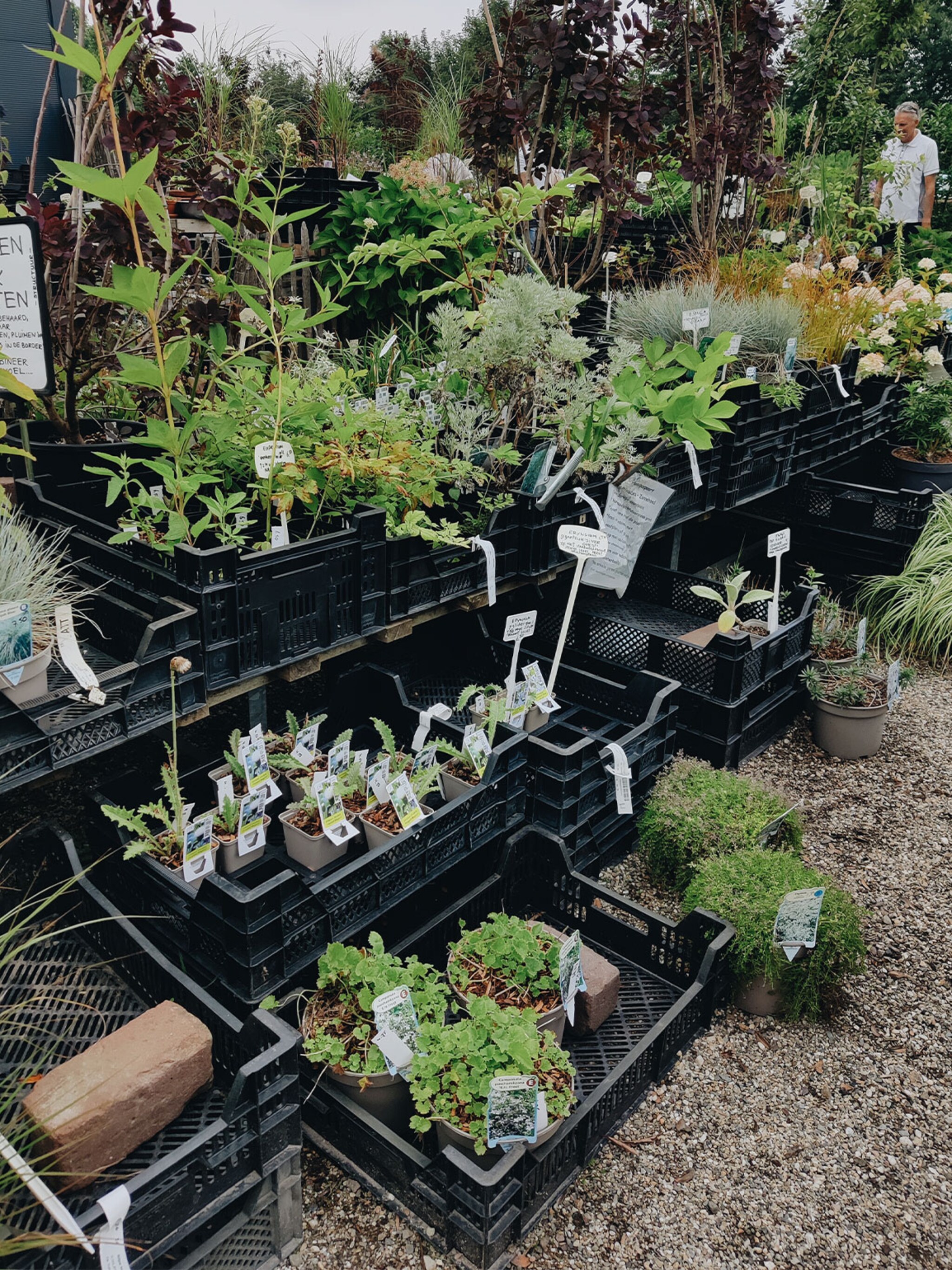 vivian en mark kiezen planten voor de tuin selecteren is het leukste deel