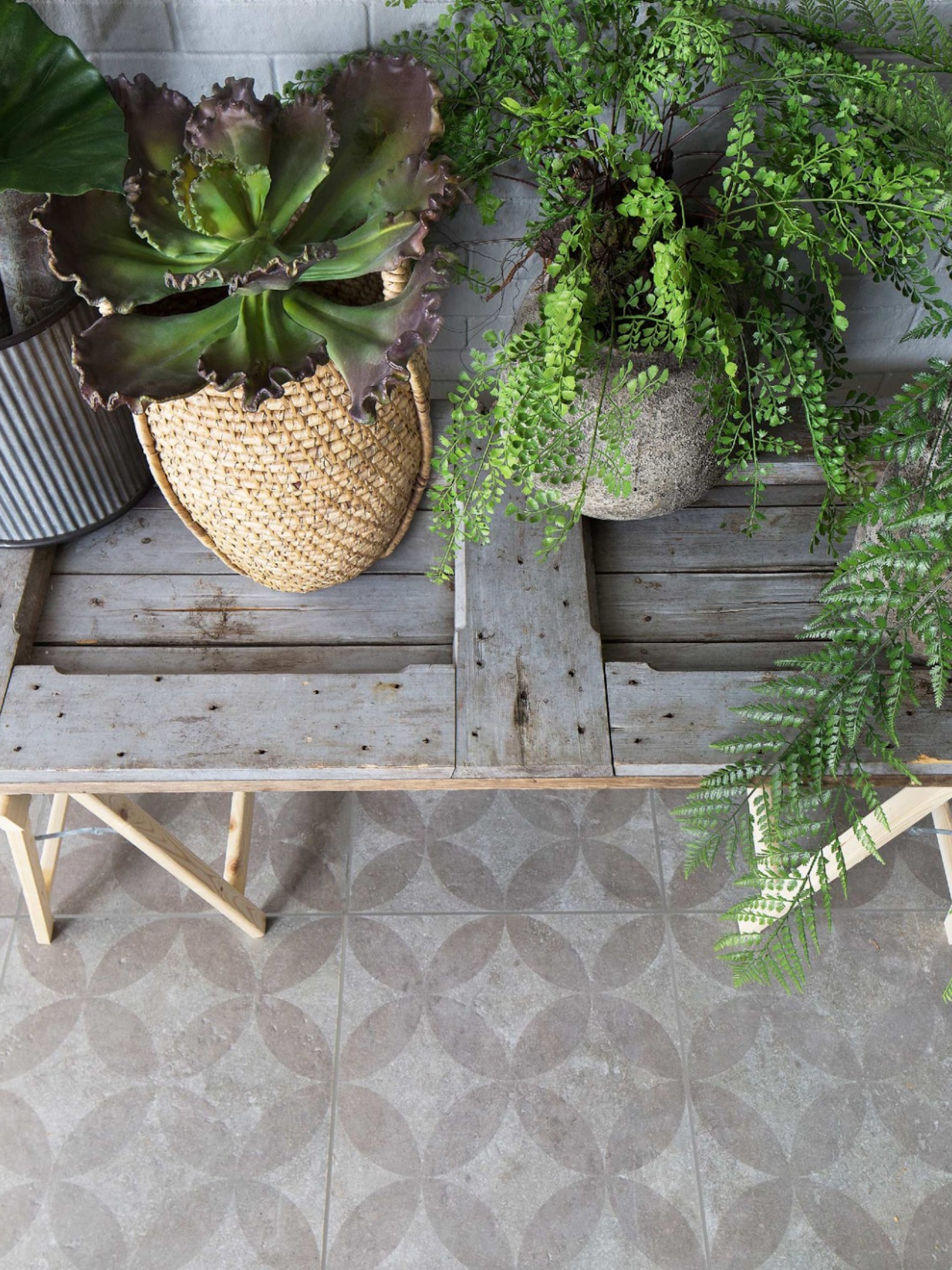 deze schaduwplanten doen het goed op het balkon