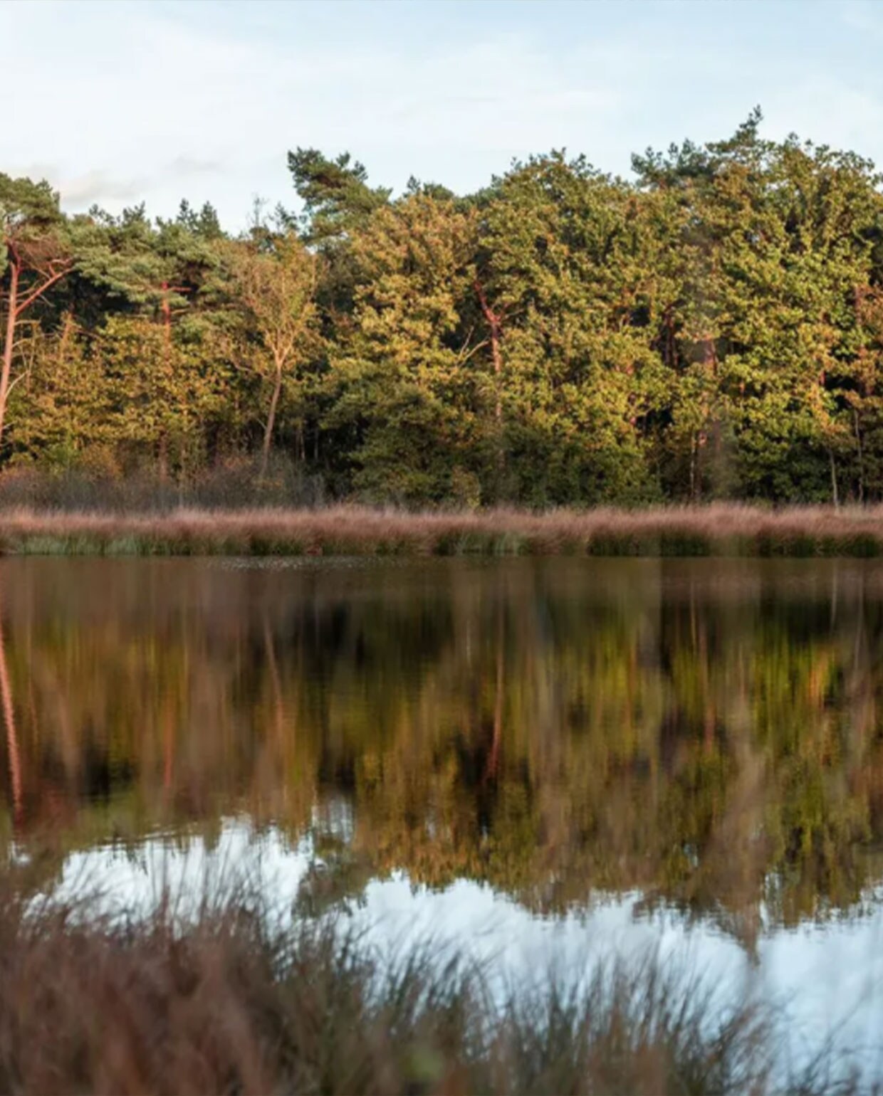 beeld vtwonen hotspots breda