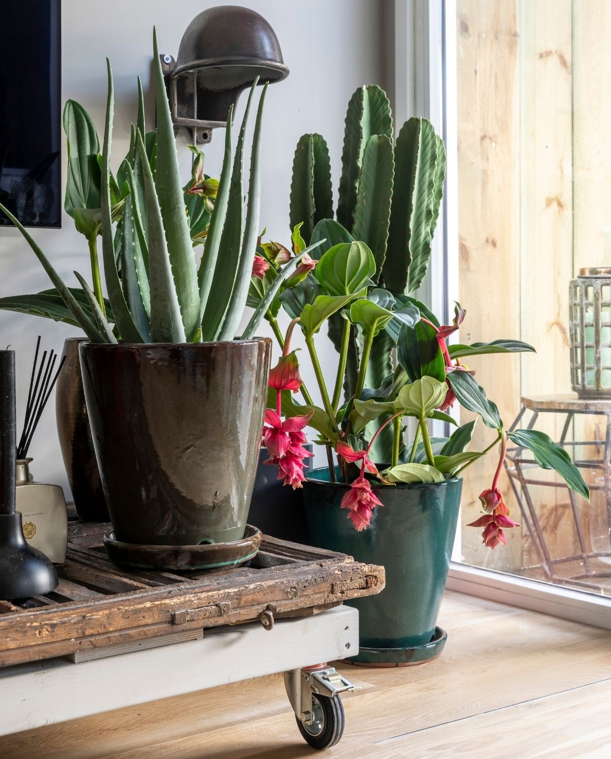 beeld vtwonen Weer verliefd op je huis seizoen 16 aflevering 6 | styling Frans Uyterlinde | fotografie Margriet Hoekstra