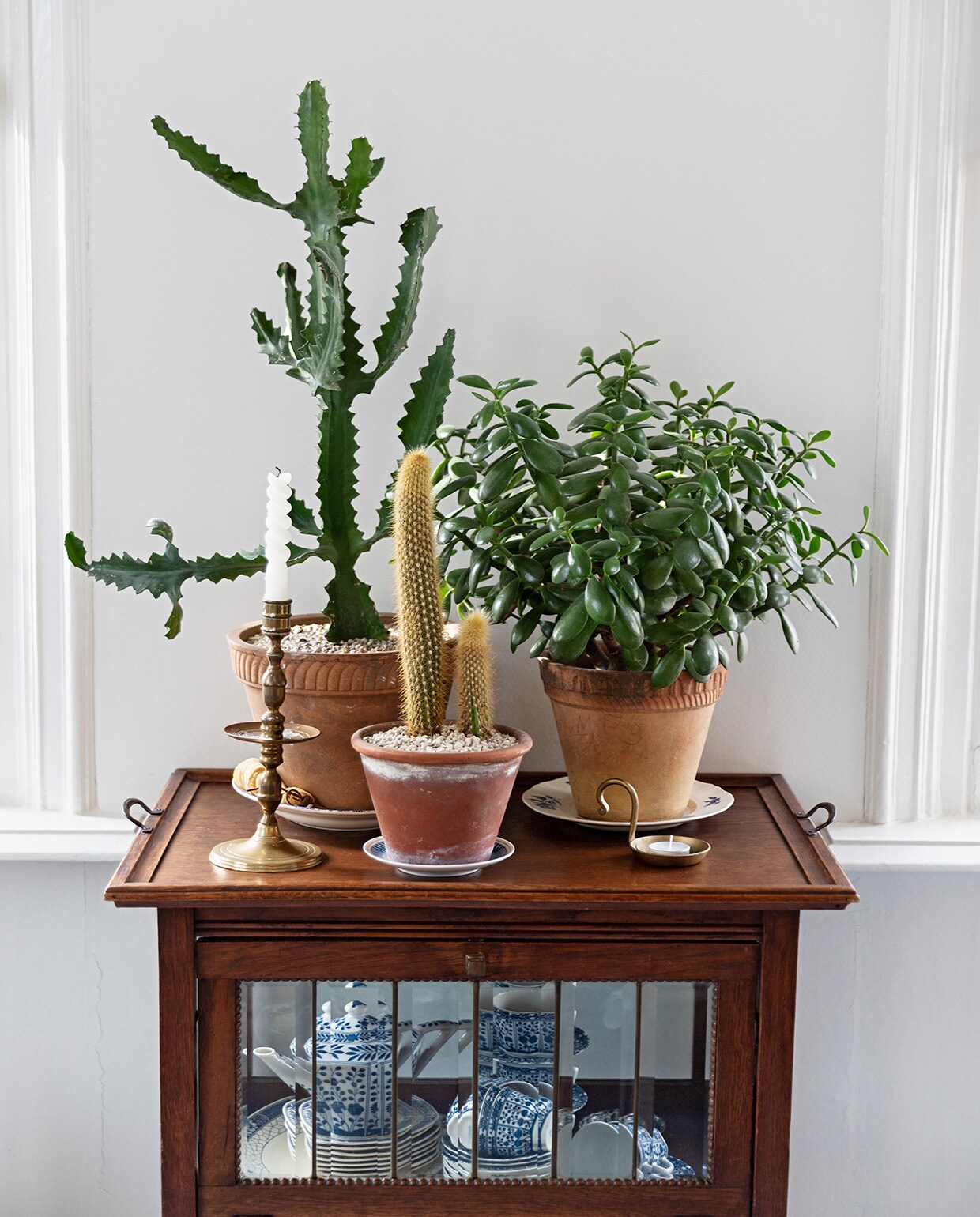 beeld vtwonen vtwonen 04-2021 | productie en styling Ilona Jongepier | fotografie Dana van Leeuwen | tekst Anna van der Heijden