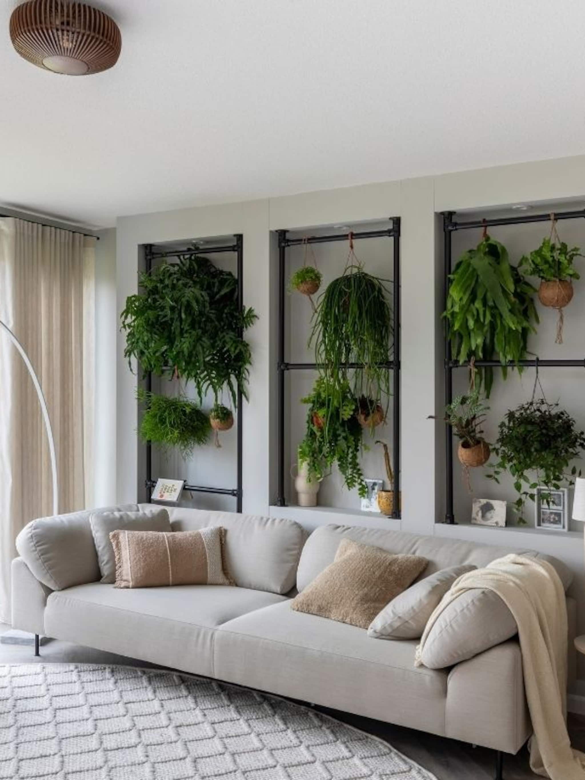 zo creeerde frans een botanisch paradijs in een vrijstaande woning in lelystad