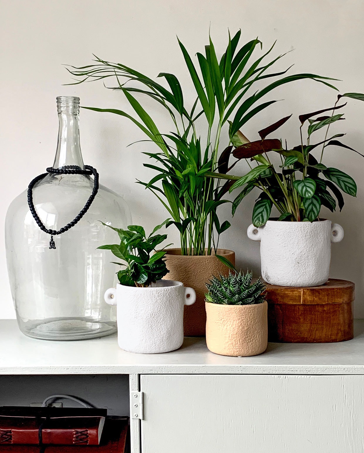 De vtwonen pot &amp; plant collectie is verkrijgbaar in witte en terra potten.