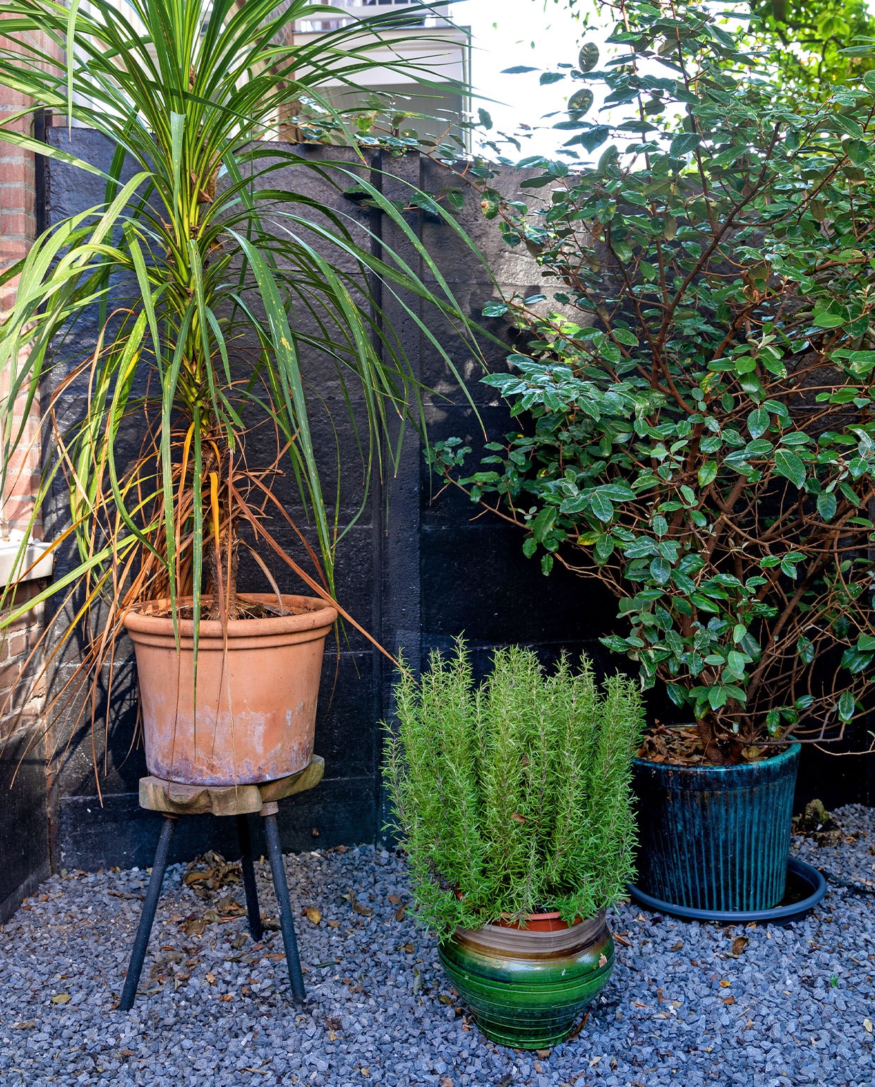 Kruk, terracotta pot en blauwe bloempot tuincentrum. Groene bloempot Serax. vtwonen TUIN special 3 | Styling Theo-Bert Pot, Jelle Van de Schoor | fotografie Theo-Bert Pot | tekst Cathelijne van Wingerden