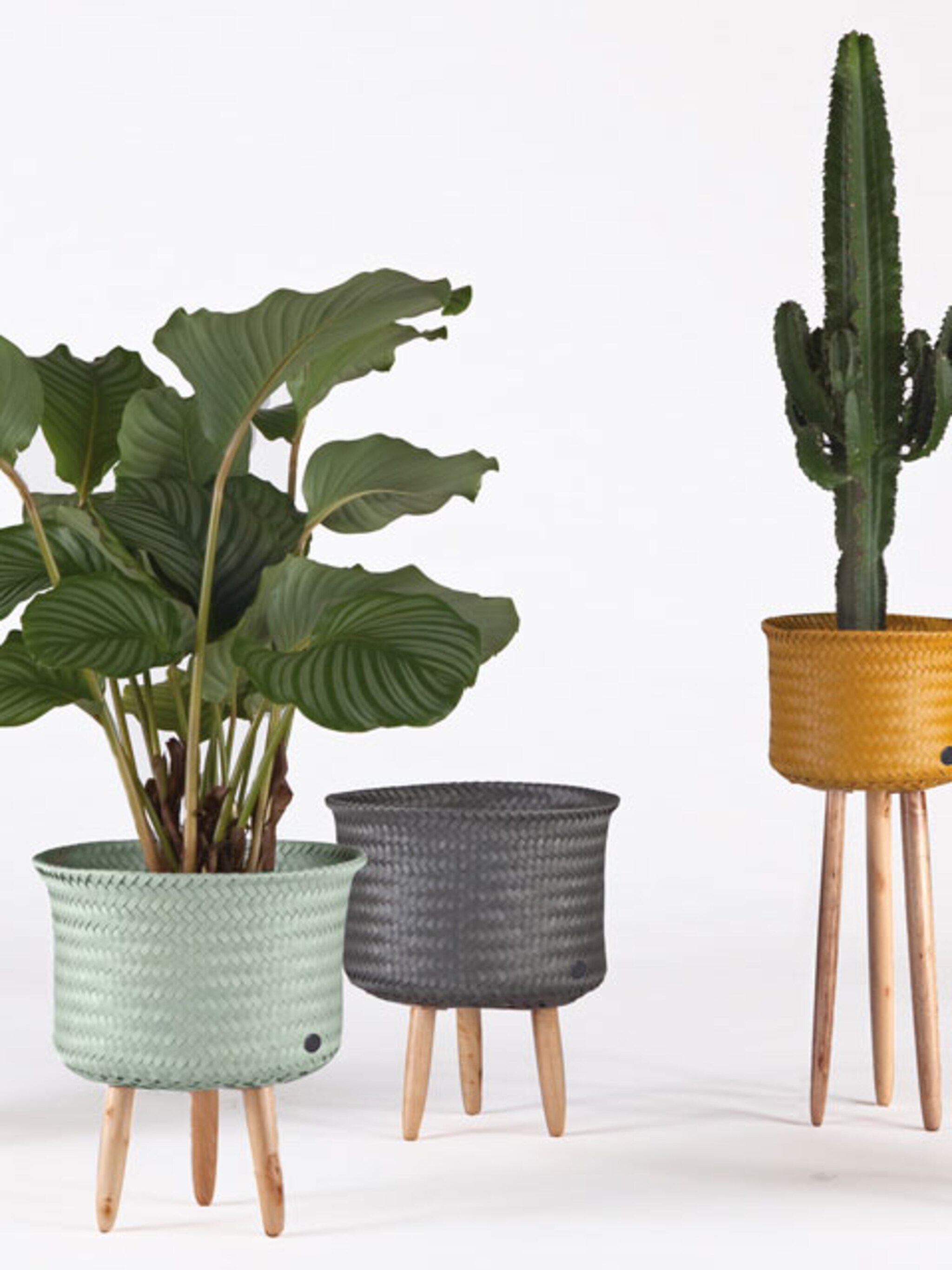 3x anders de plantenstandaard