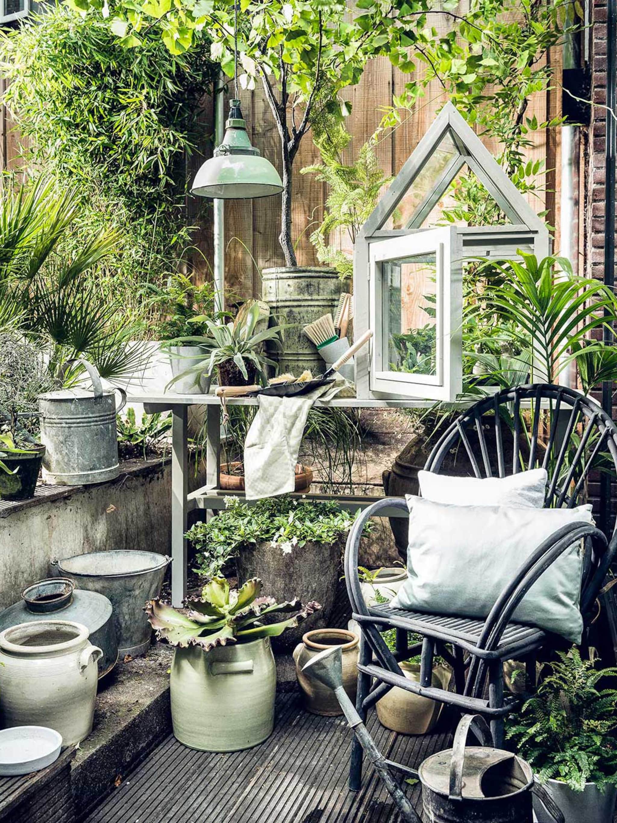 handig deze kamerplanten kunnen ook gewoon buiten staan