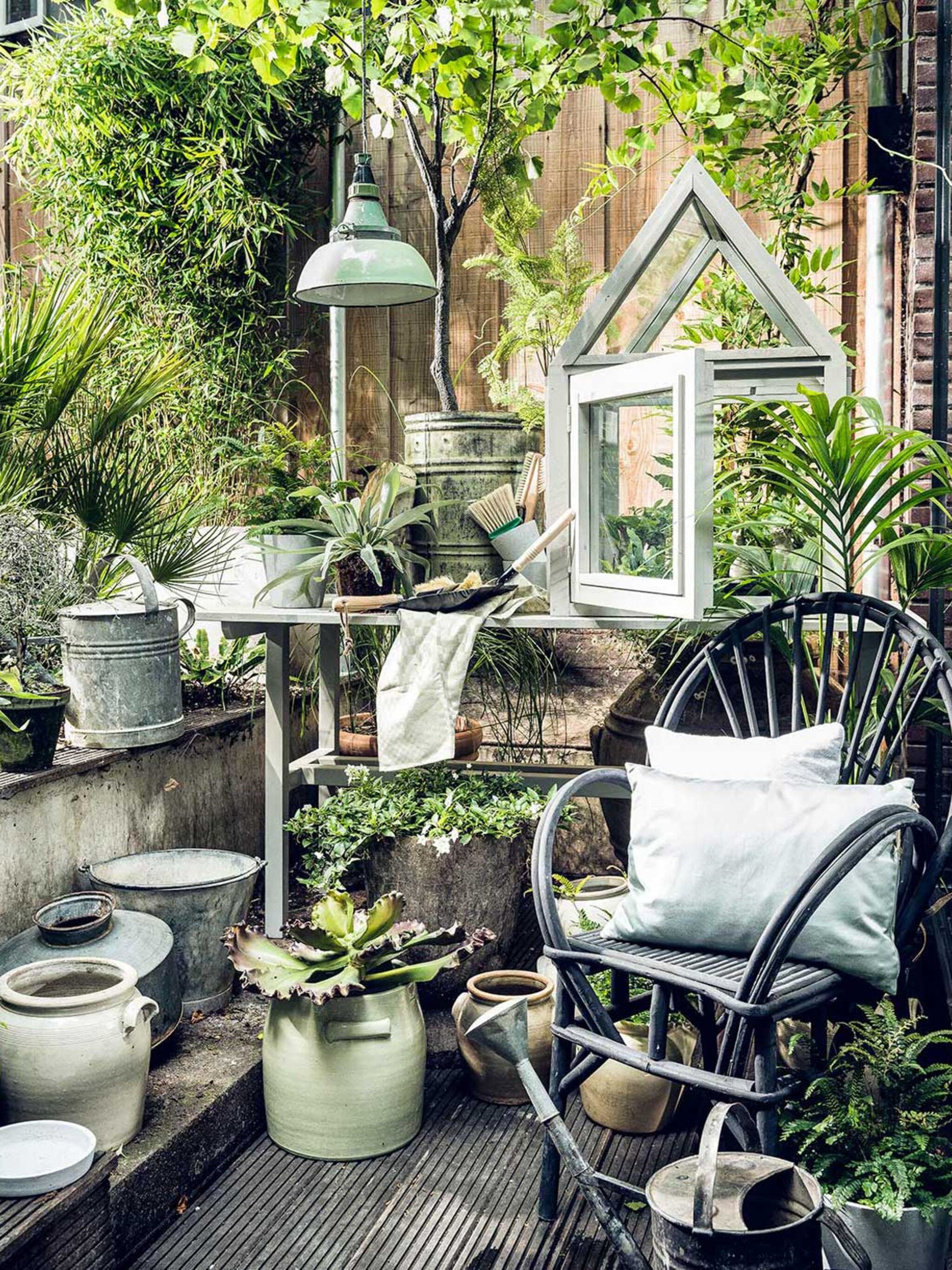 inpakken maar zo bescherm je planten tegen vorst