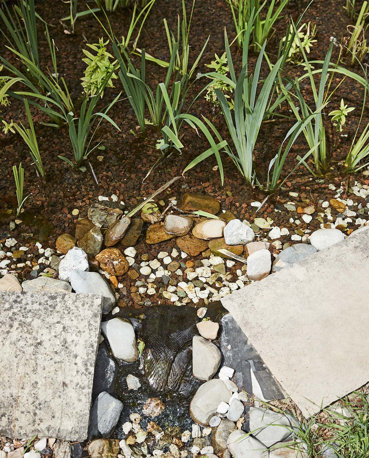beeld vtwonen vtwonen special tuin 03 2021 | styling Fietje Bruijn | fotografie Alexander van Berge