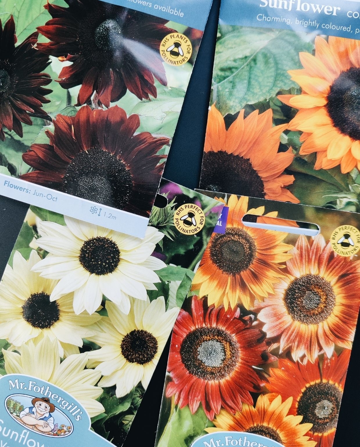 Verschillende soorten zaden voor de moes-en pluktuin