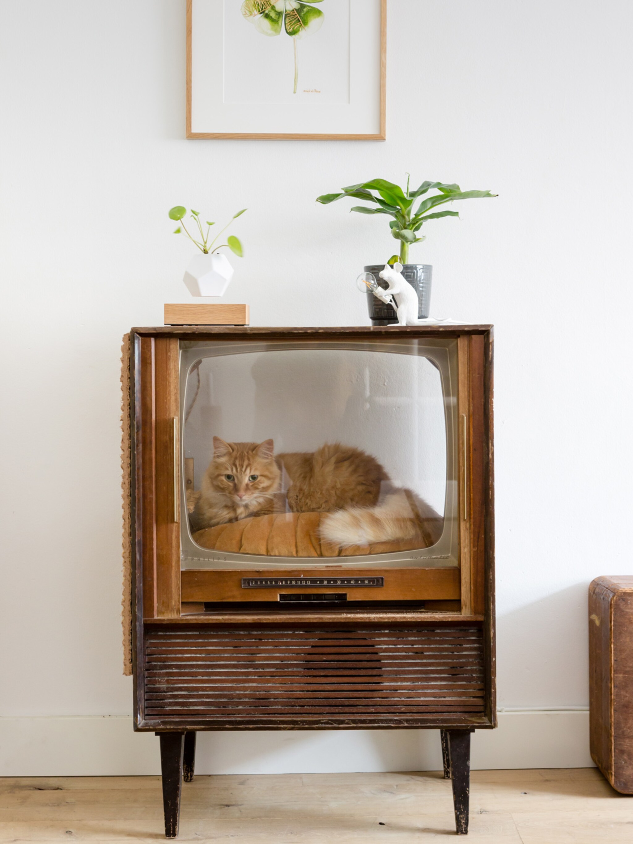 kattenbak ombouw jij blij en je kat blij