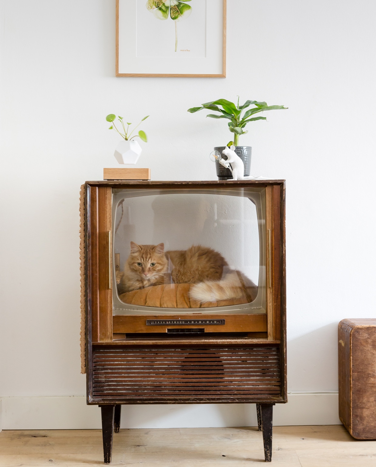 beeld vtwonen vtwonen weer verliefd op je huis | seizoen 11 aflevering 4 | fotografie Barbara Kieboom | styling Eva van de Ven