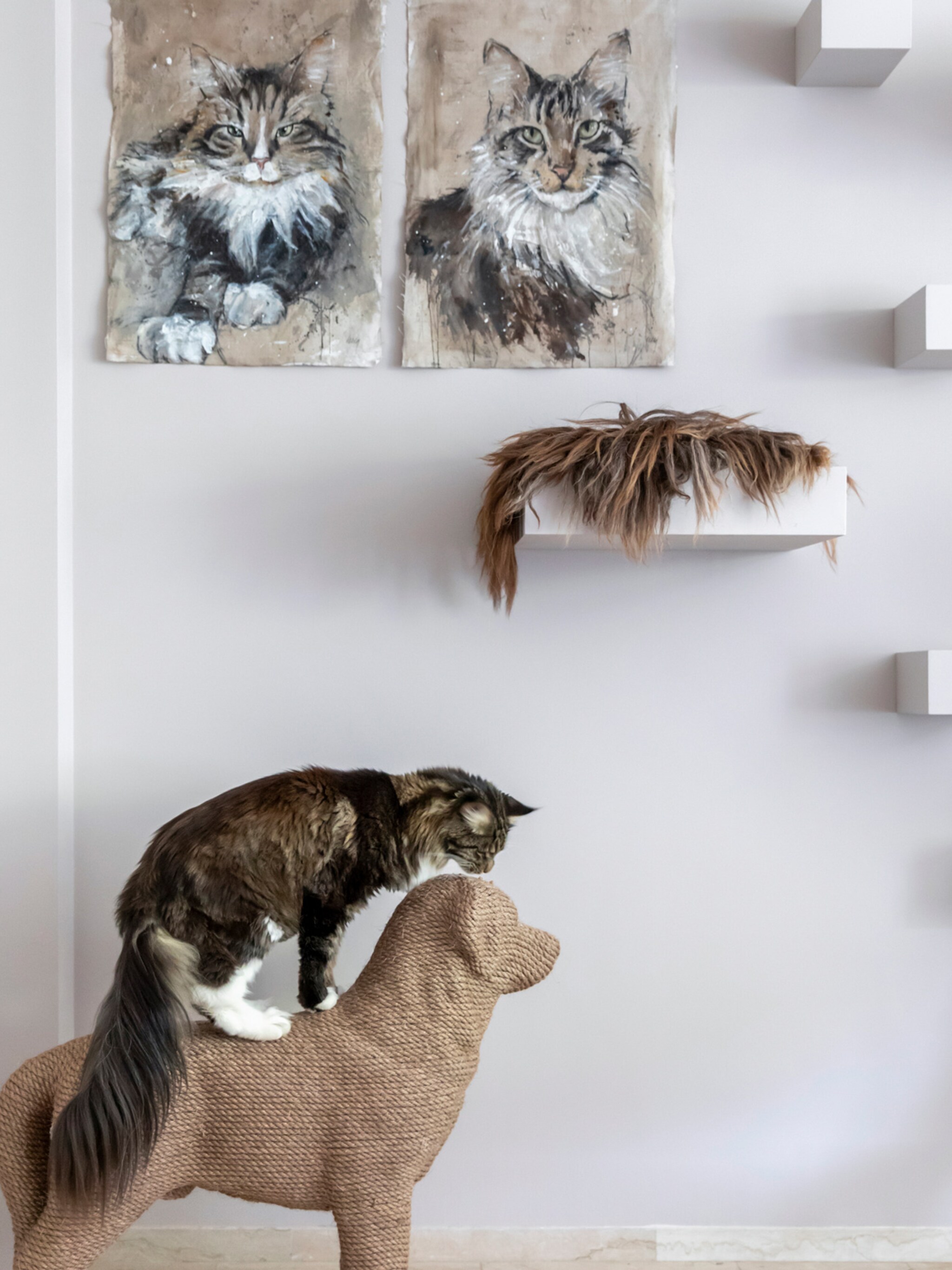 zo voorkom je dat je kat aan de meubels krabt