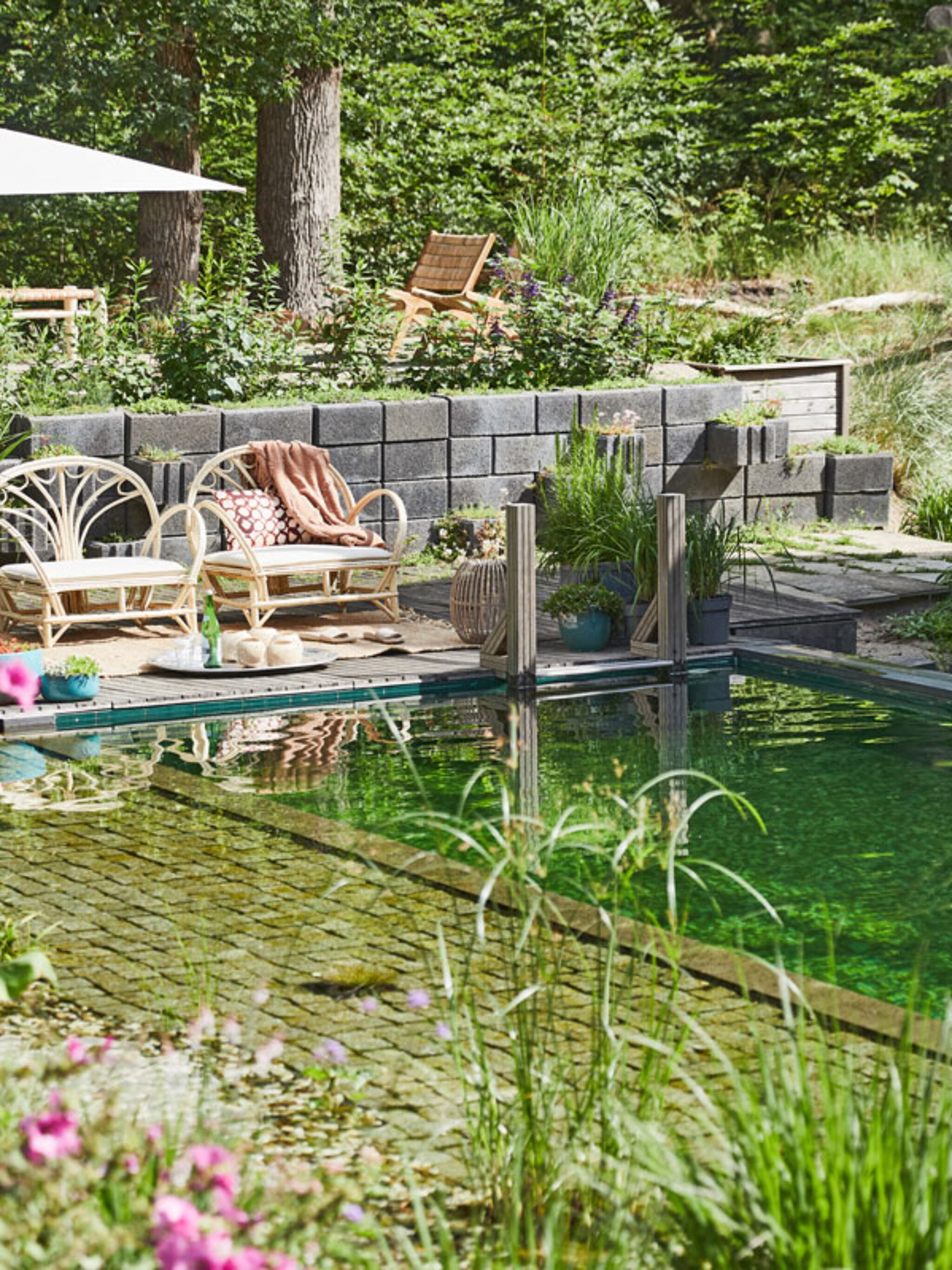 buitenkijken in tuin met zwemvijver