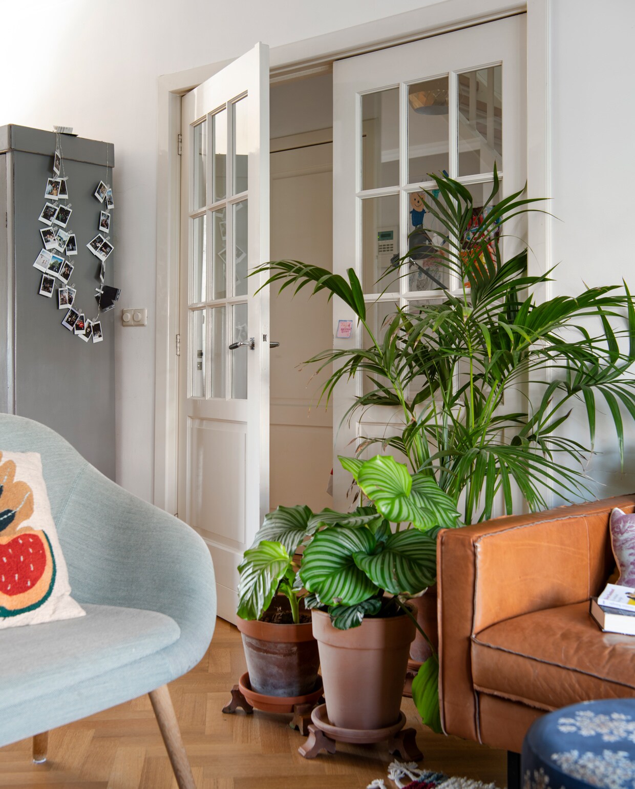 Planten fungeren als roomdivider van twee ruimtes: de woon-en eetkamer vtwonen 13-2021 | Productie Insidehomepage | Styling Kim Timmerman | Fotografie Louis Lemaire | Tekst Inge van Lieshout | Tekstbewerking Mariska Keus