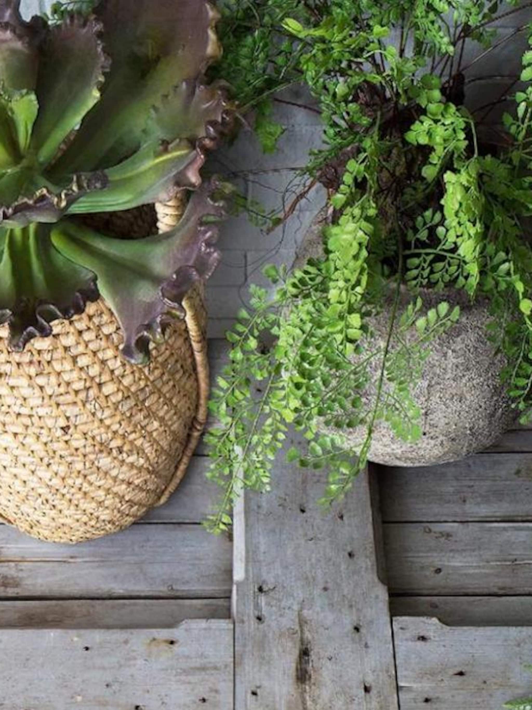 met deze handige stijltips geef je het balkon een natuurlijke look