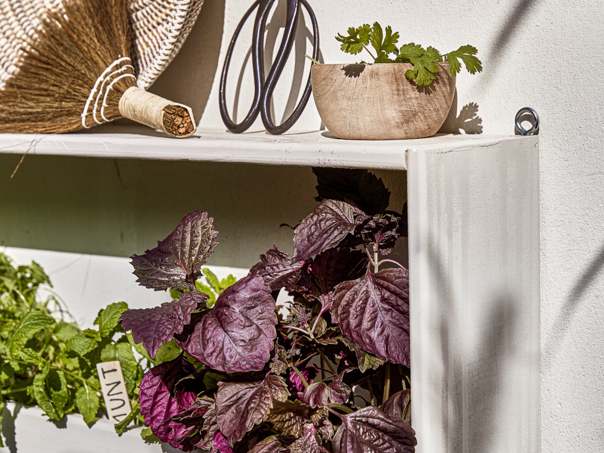 een moestuin aanleggen dit is de beste ligging grond en indeling