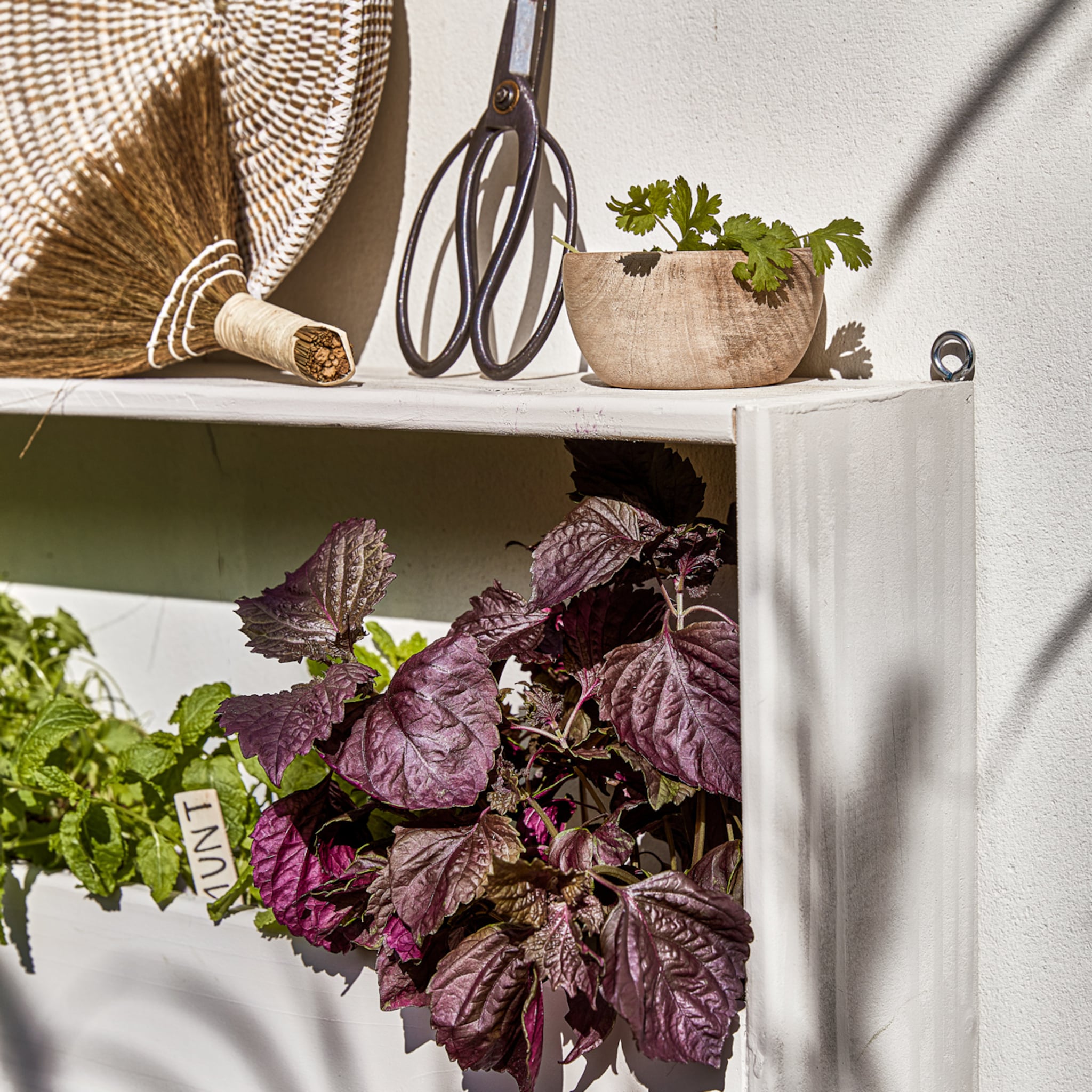 een moestuin aanleggen dit is de beste ligging grond en indeling