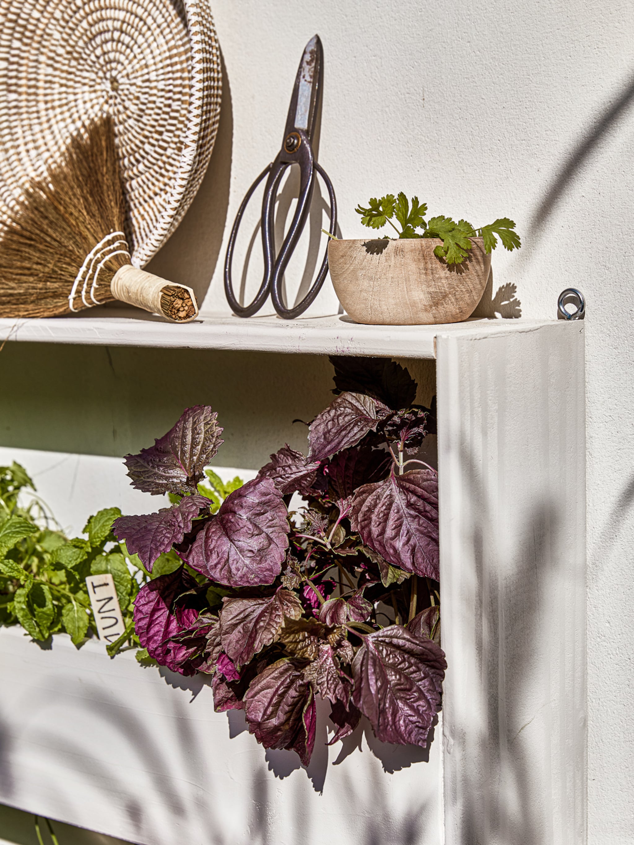 een moestuin aanleggen dit is de beste ligging grond en indeling