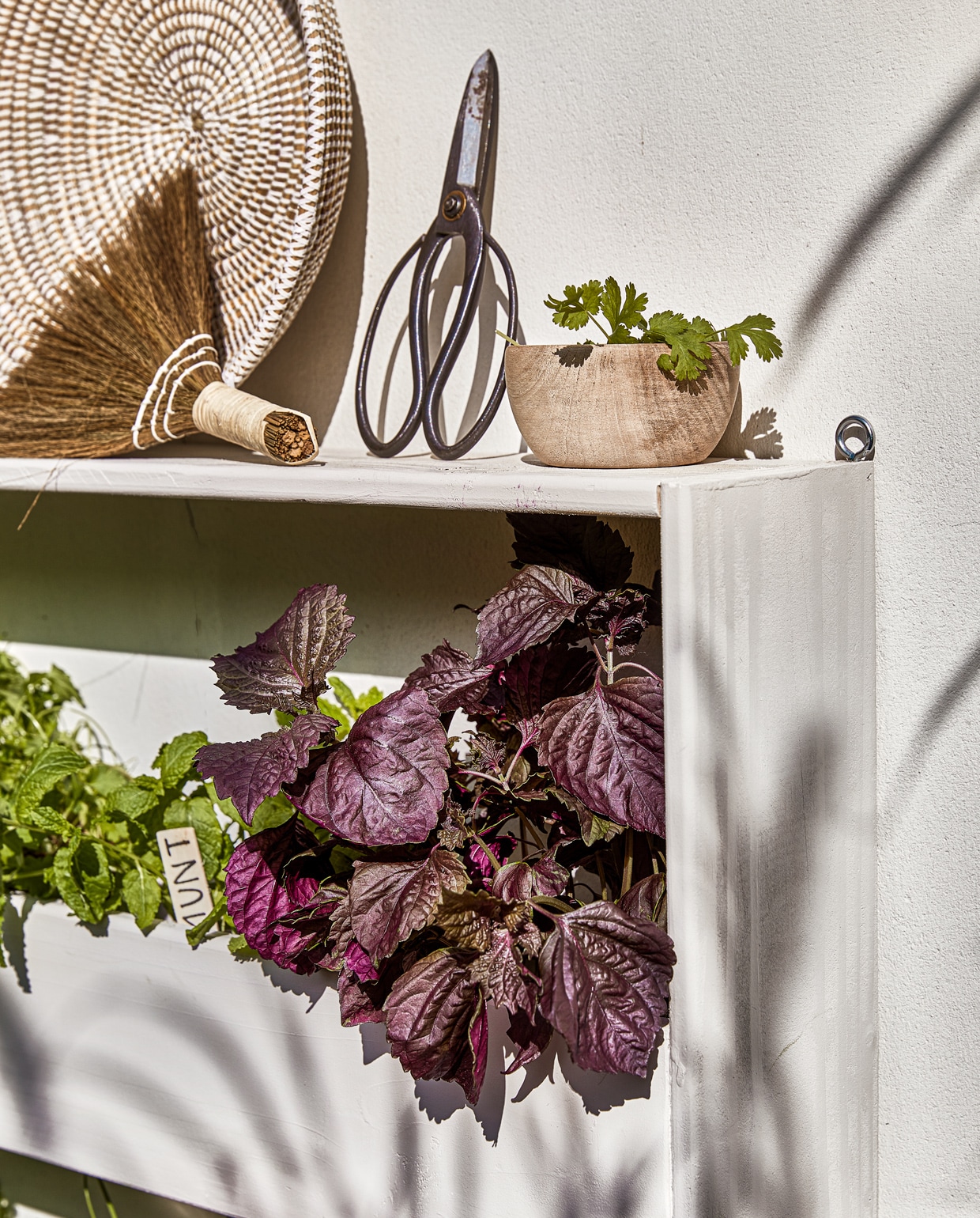 Gevlochten schaal € 25,- en kleine houten schaal (householdhardware.nl). Houten plantenlabels € 5,95 (esschertdesign.nl). Handveger € 15,95 (loods5.nl). Bonsaischaar € 14,95 (dille-kamille.nl). Overig privébezit. twonen special tuin 04 | productie Corrien Flohil | uitvoering Johan Snoodijk | styling Moniek Visser | fotografie Peggy Janssen