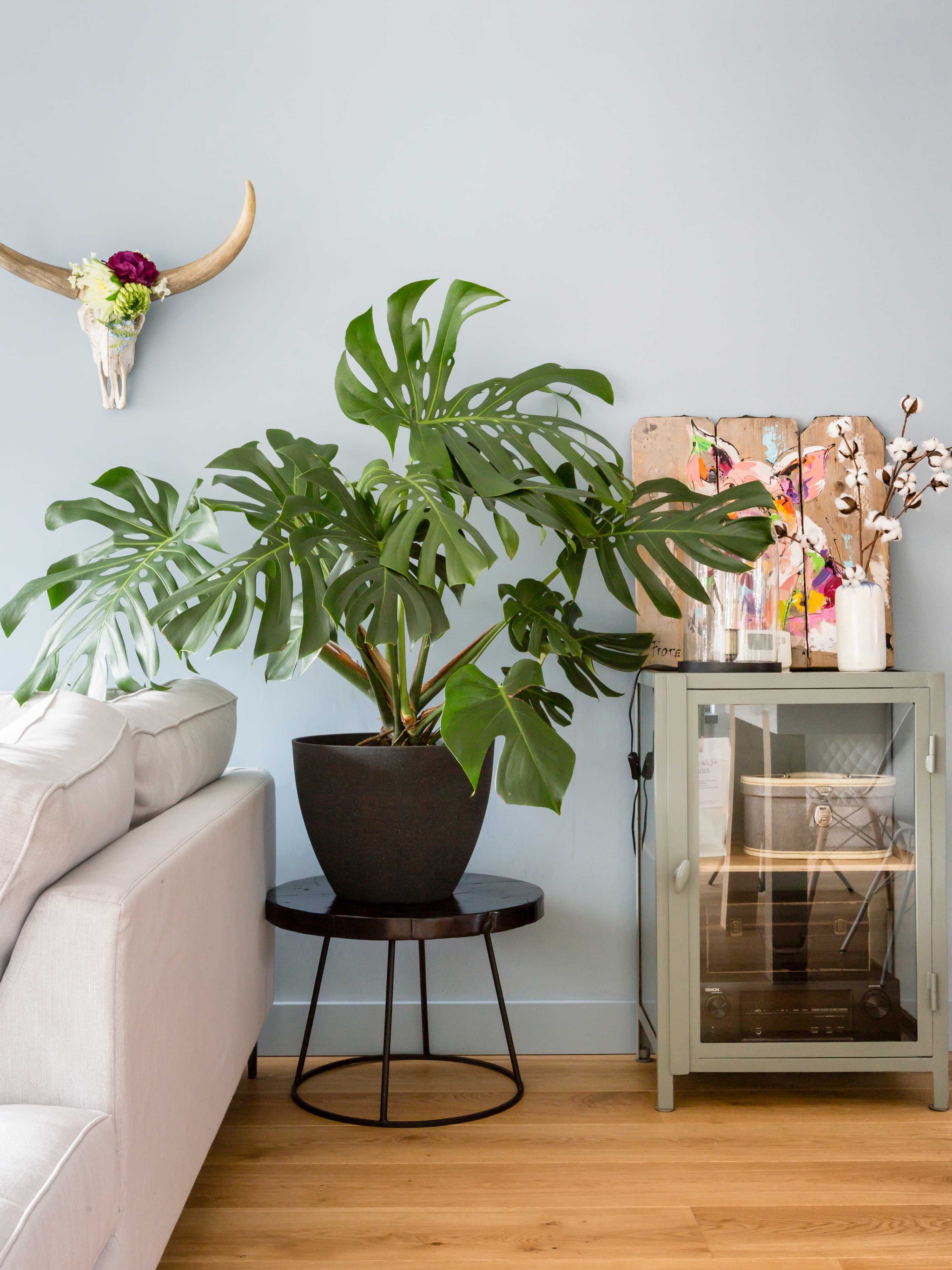 online planten bestellen zo voorkom je teleurstelling