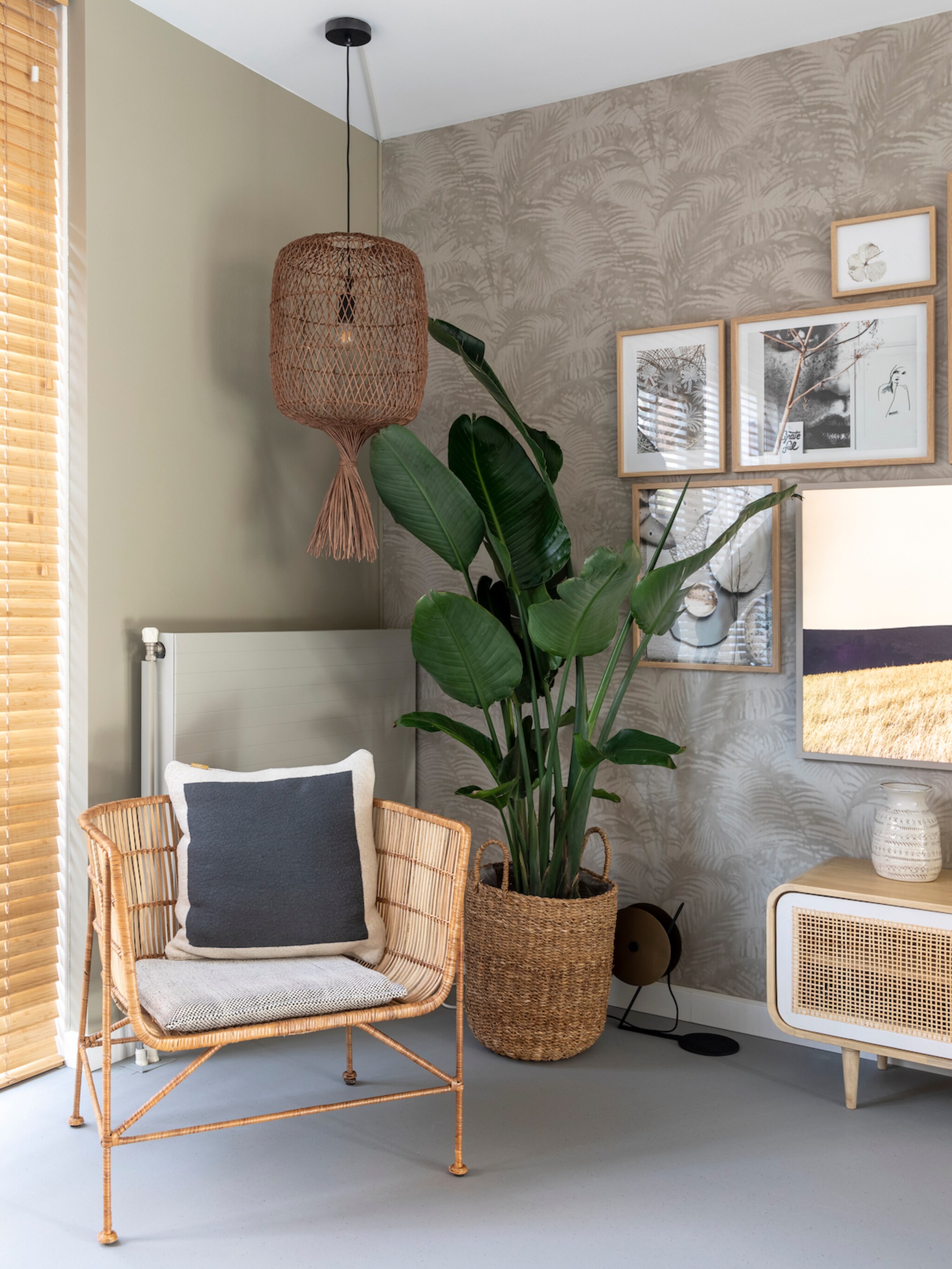 groene make over een lelijke kamerplant weer mooi maken