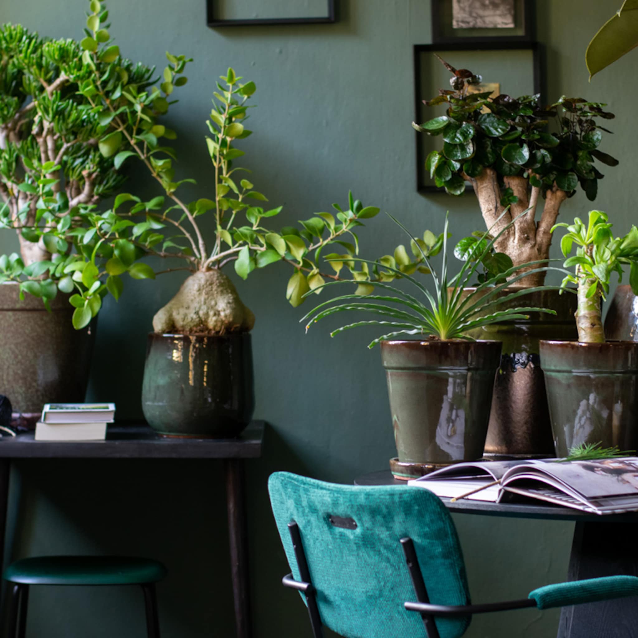 stylingtips van marianne groene orangerie in huis