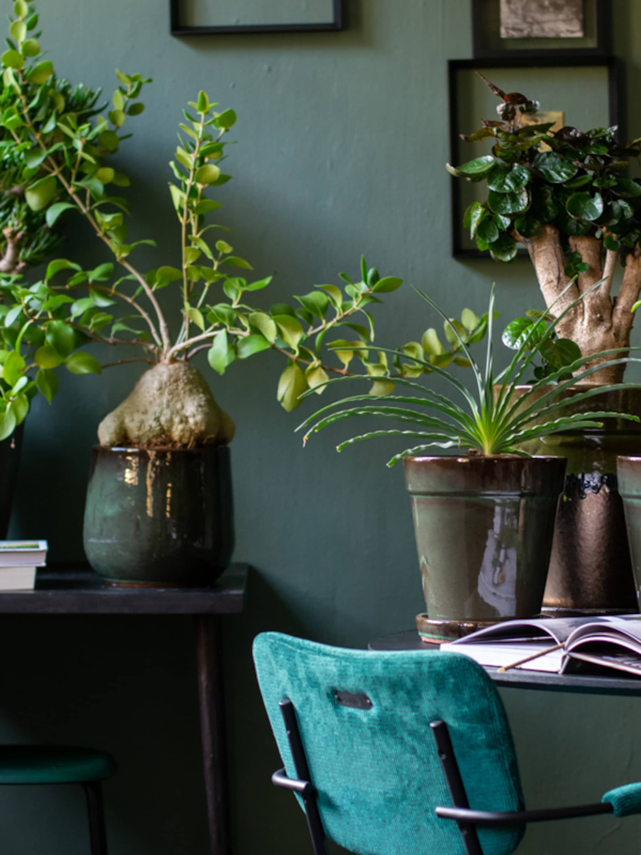 stylingtips van marianne groene orangerie in huis