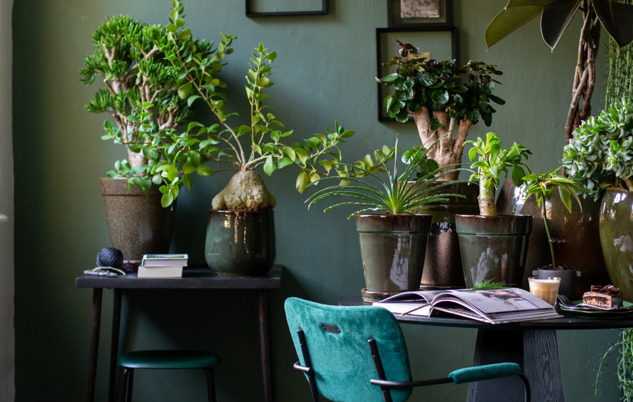 beeld vtwonen foto lotte kwant | styling marianne luning
