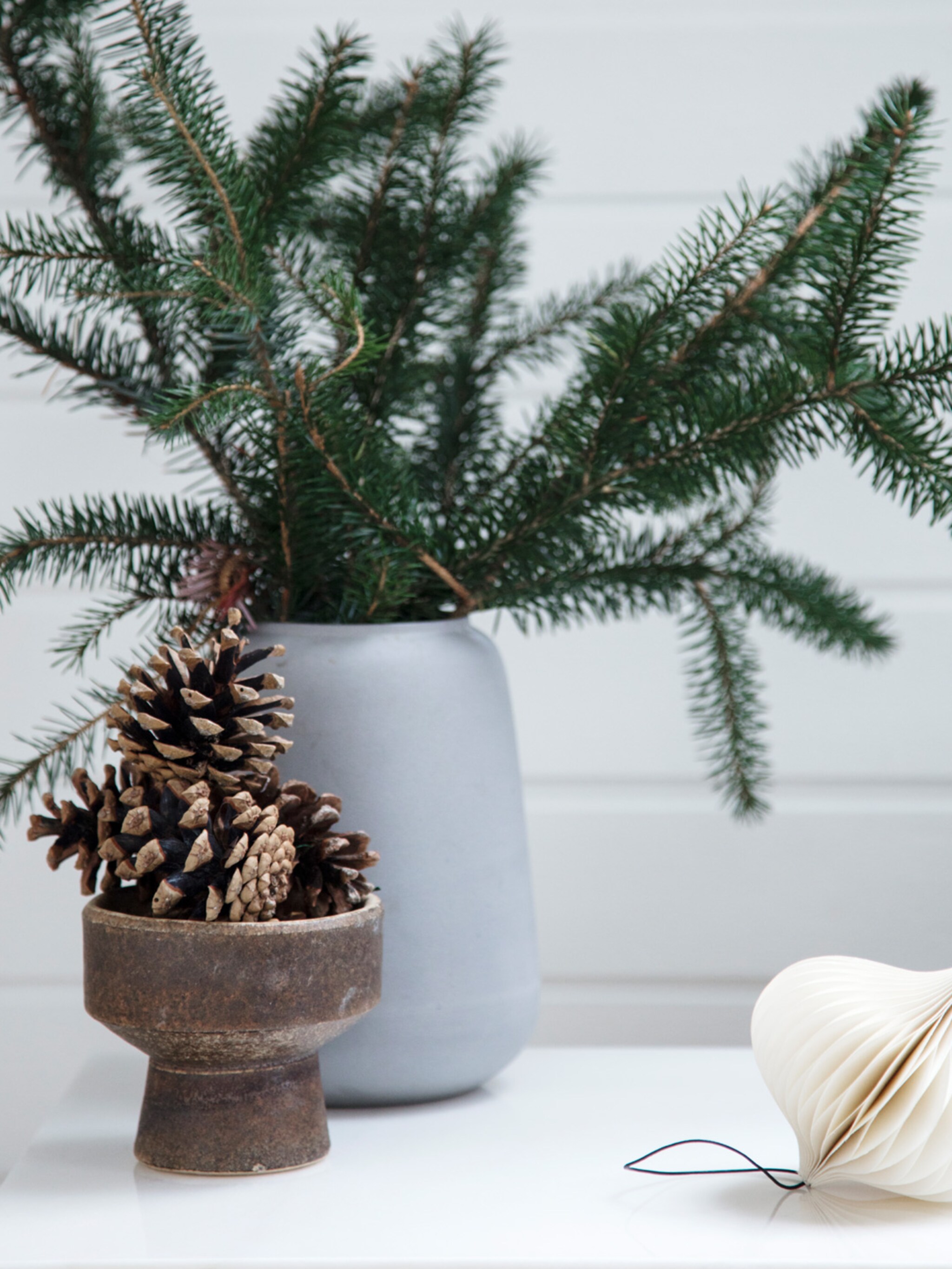 op naar het bos 5x diy s met dennenappels