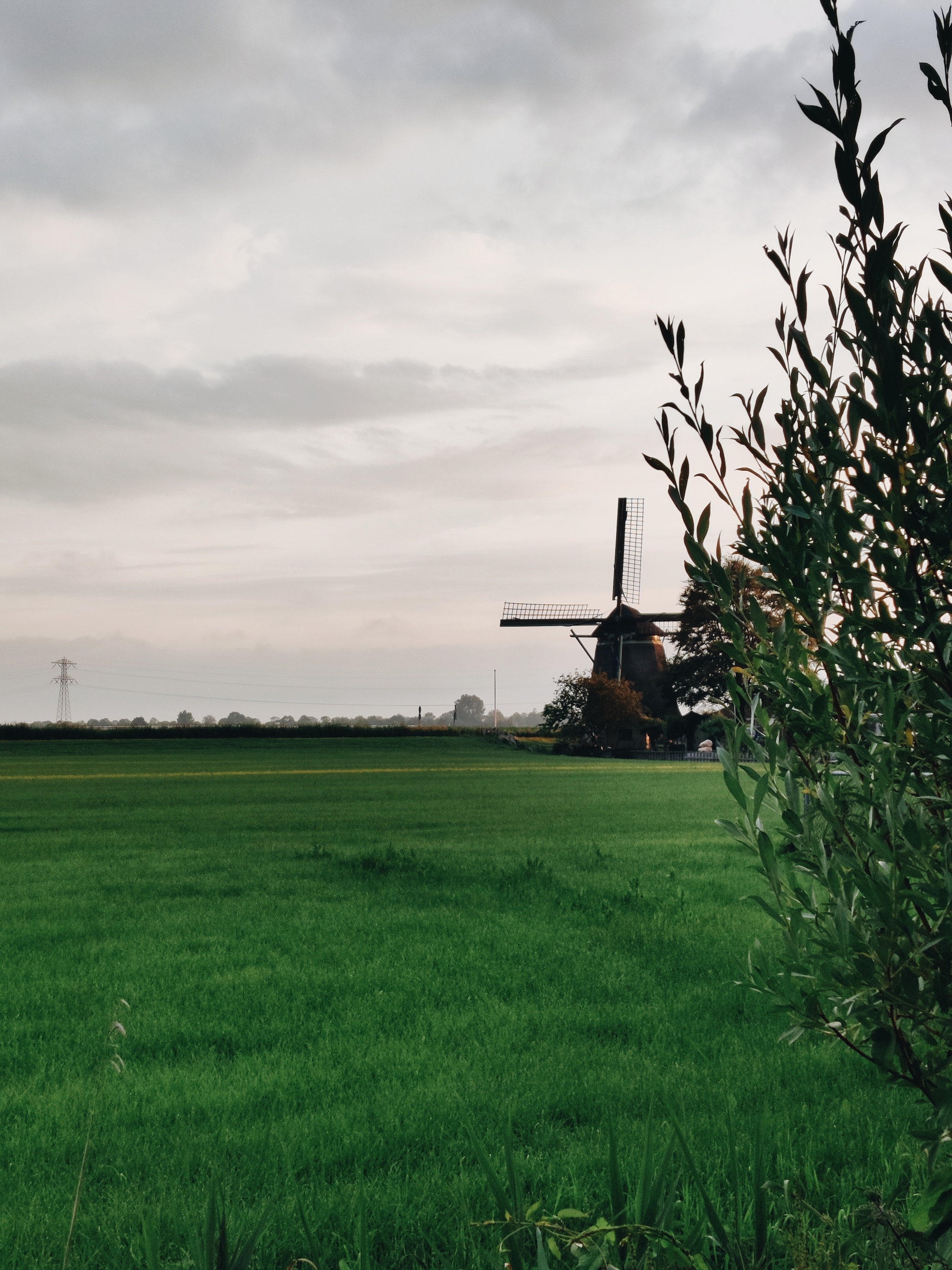 vivian en mark bouwen een tuinhuis een ruimte waarin je ontspant