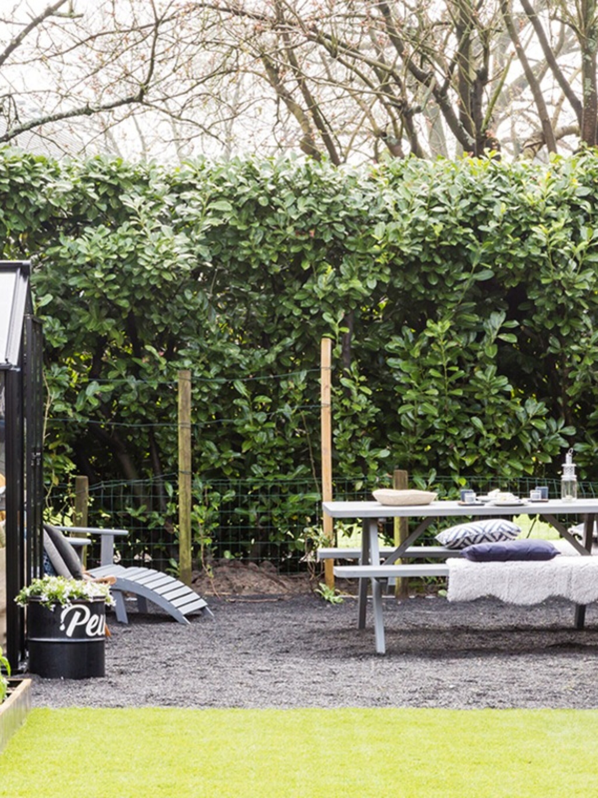 wat te doen tegen veel wind in de tuin