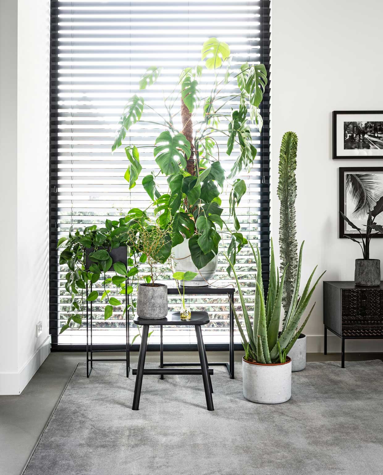 beeld vtwonen vtwonen 01-2020 | styling Kim van Rossenberg | fotografie Sjoerd Eickmans