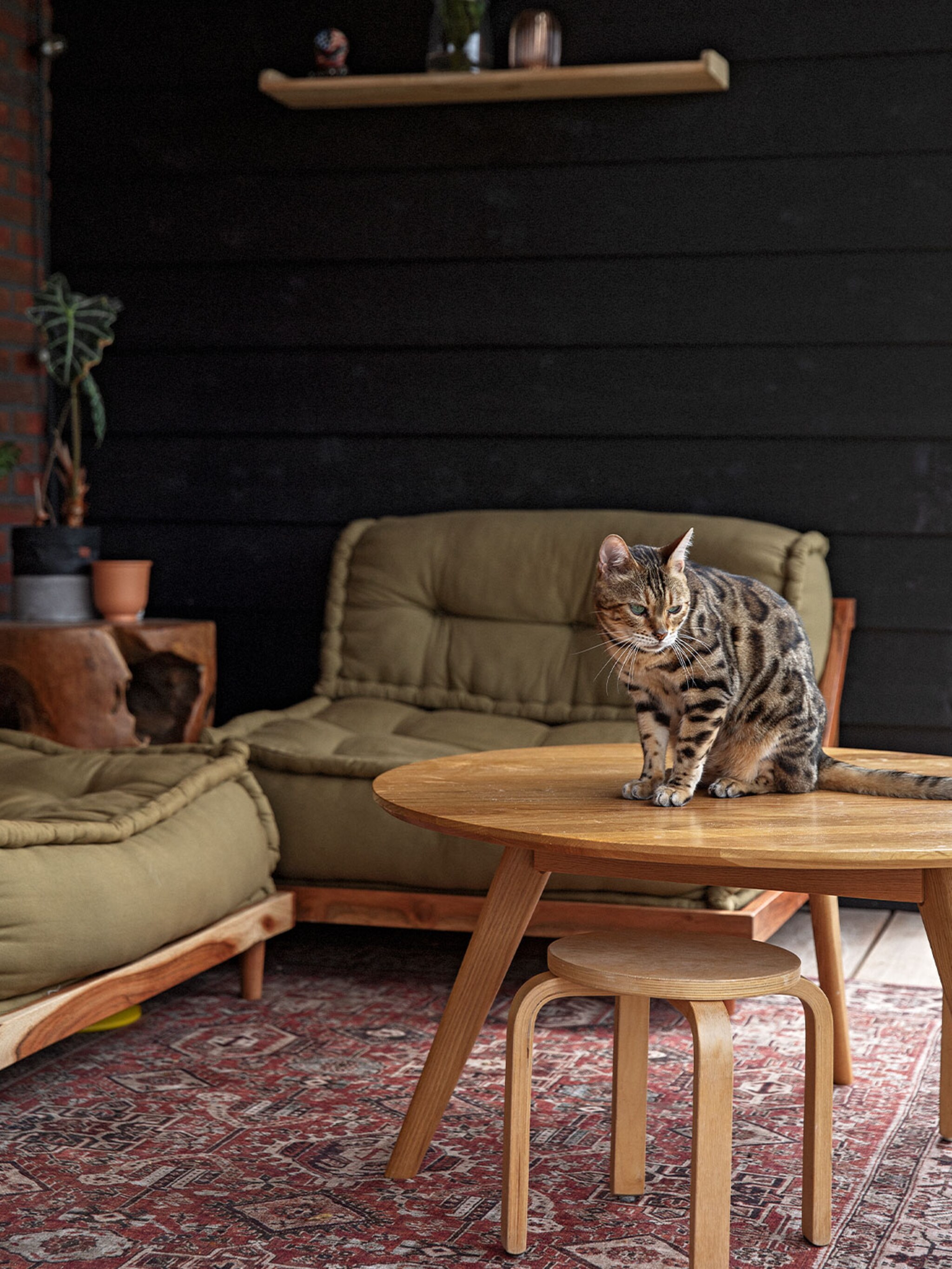 slim plan verwarm je huis duurzaam met een hybride warmtepomp en cv ketel