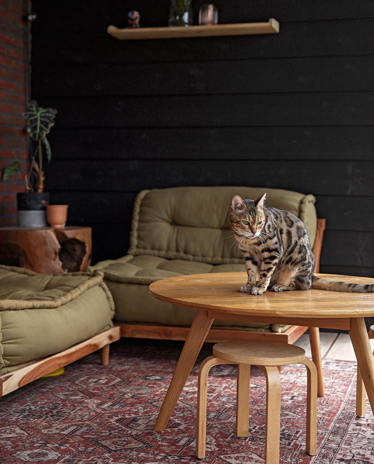Banken Sklum. Tafel Loods 5. Kruk Ikea. Bijzettafel gekregen. Bloempotten, vazen Ikea. Wandplank, kleed Karwei. vtwonen 10-2021 | styling Ilona Jongepier | fotografie Dana van Leeuwen