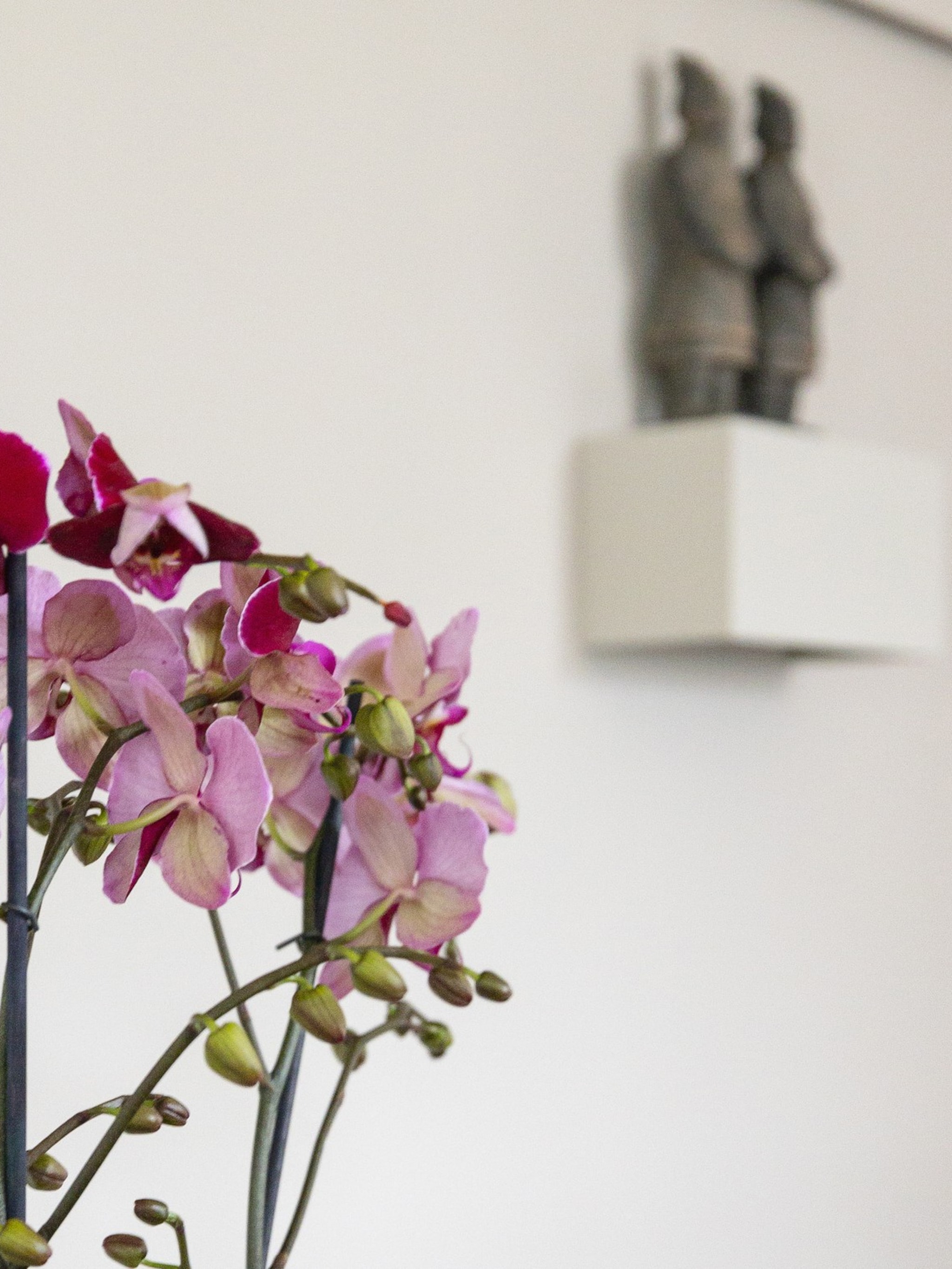 sneak peek vtwonen stylist frans in heiloo