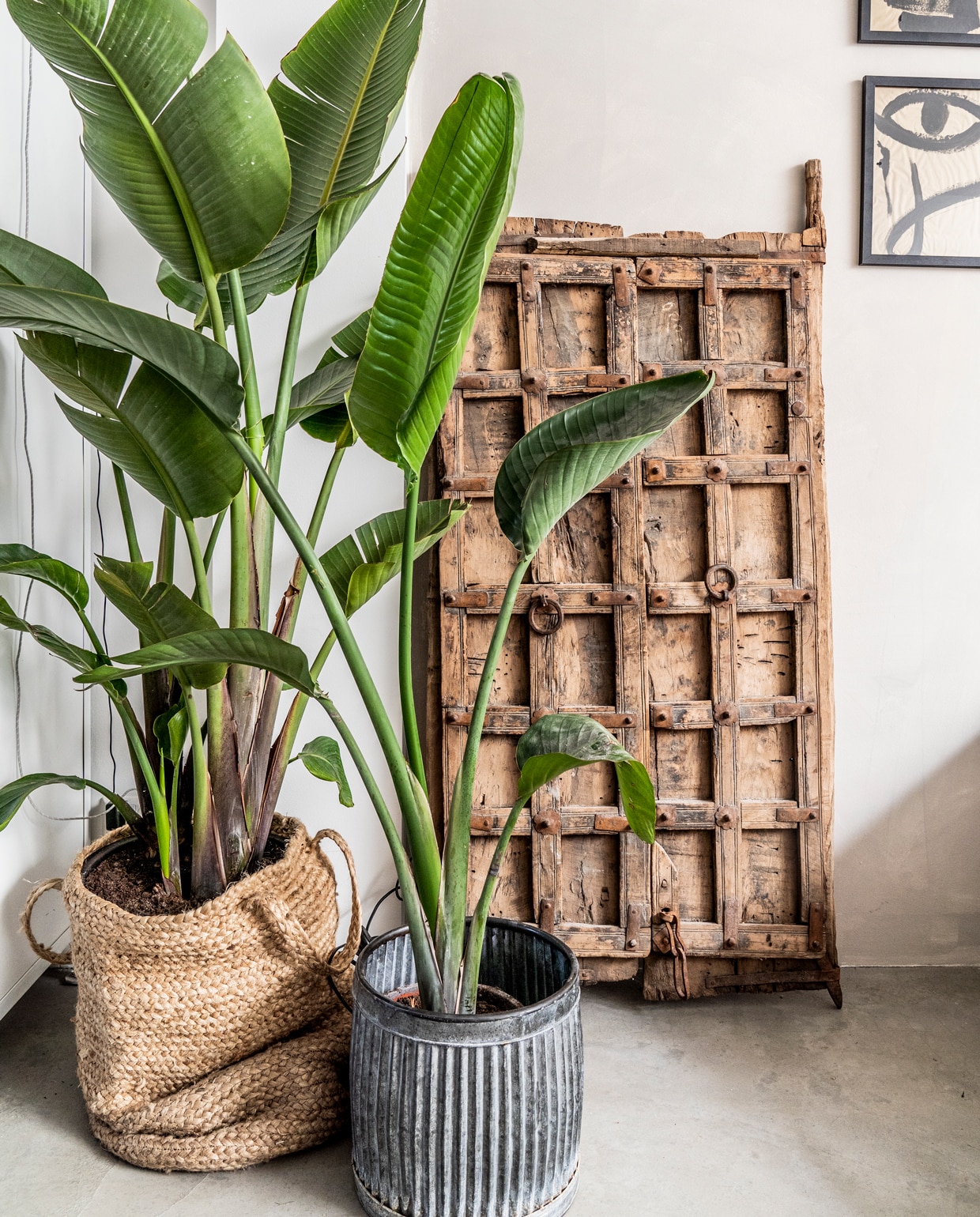 beeld vtwonen vtwonen Binnenkijken special 2019  | fotografie Muk van Lil