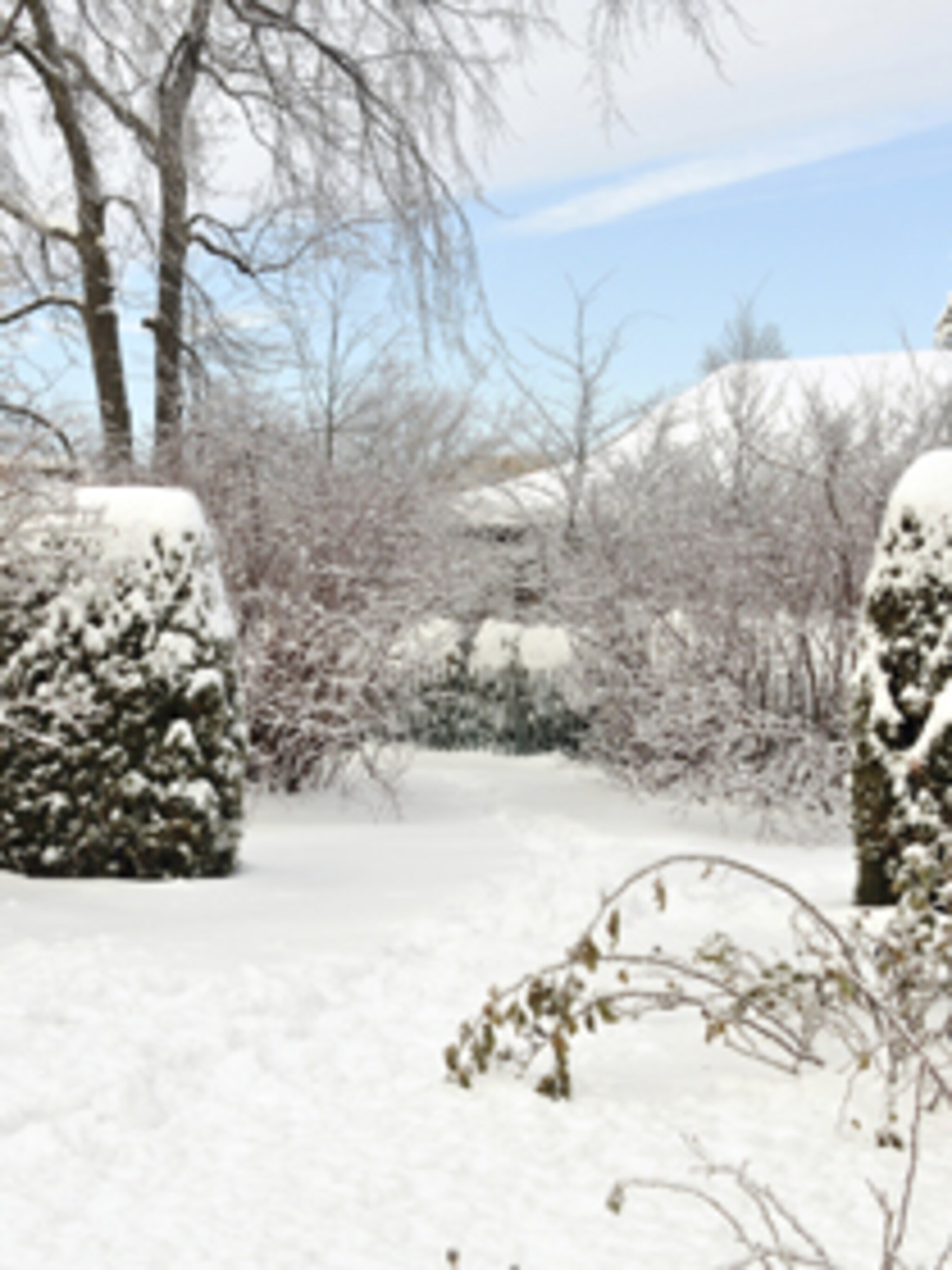 onderhoud in de sneeuwtuin