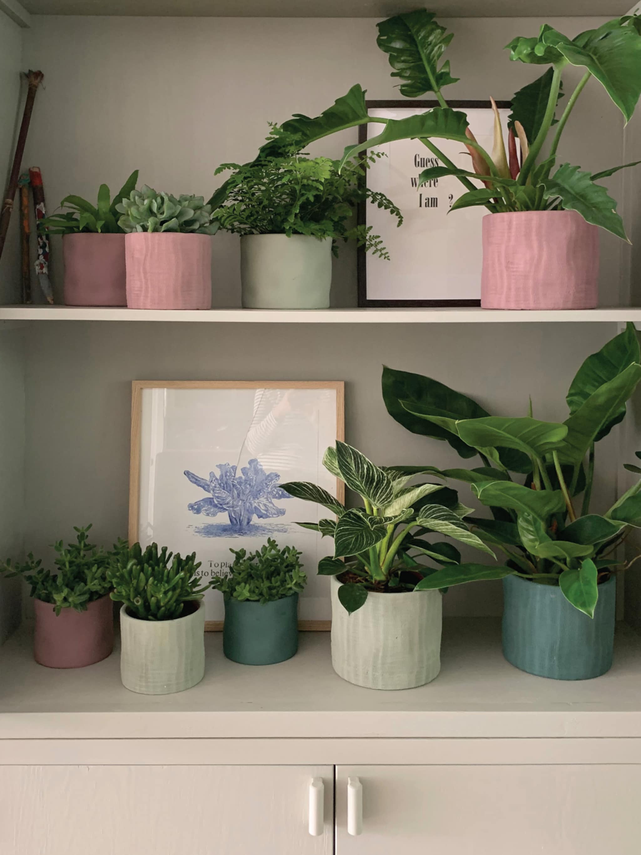 pretty pastel met de nieuwe vtwonen pot en plant collectie bij albert heijn