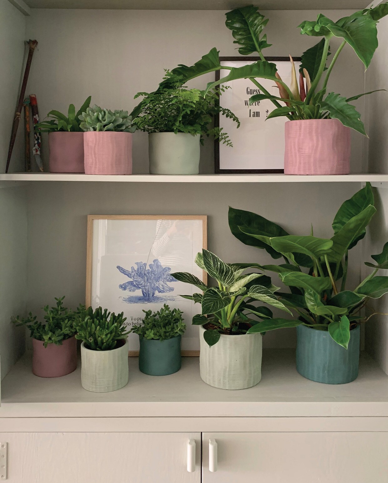 pretty pastel met de nieuwe vtwonen pot en plant collectie bij albert heijn